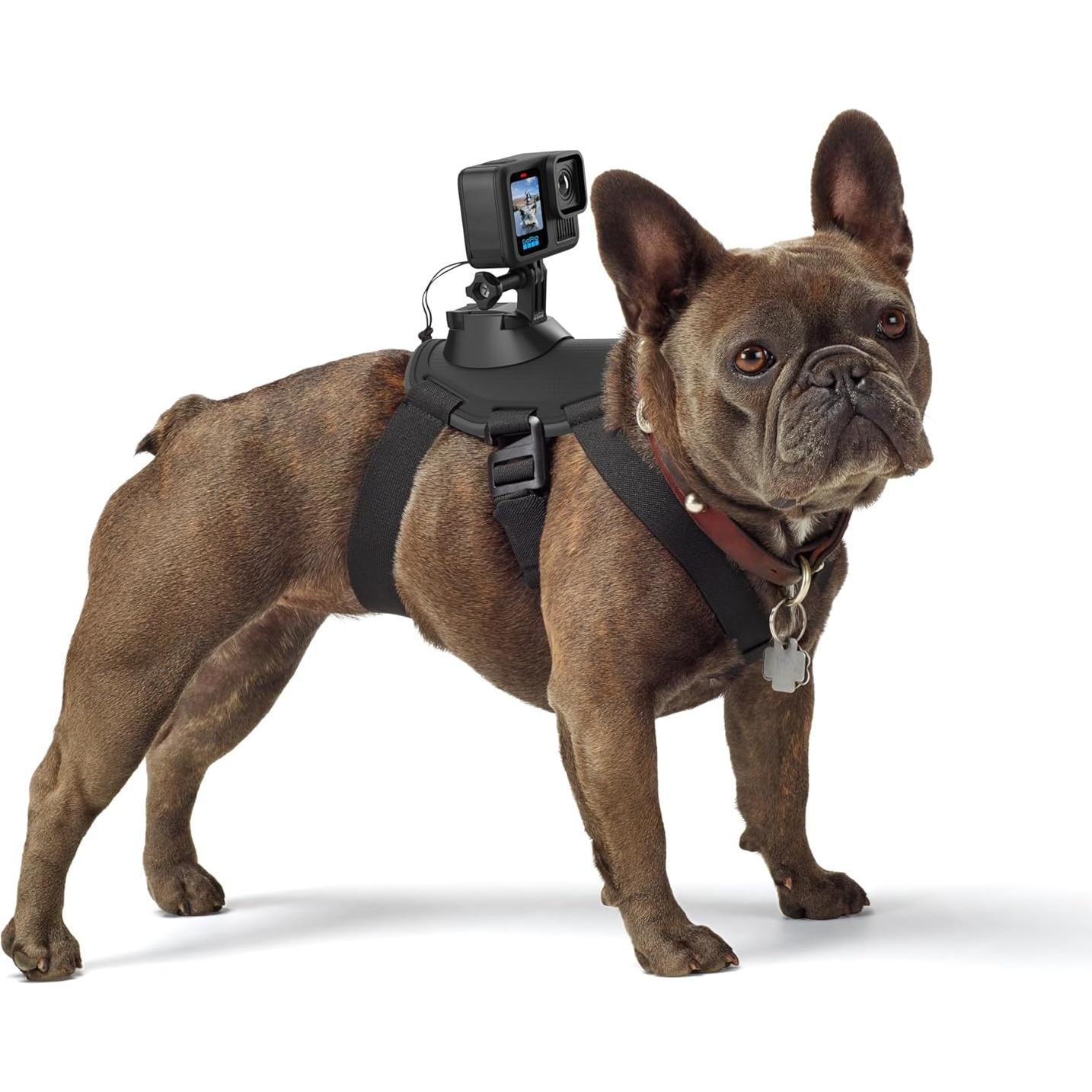 Arnés para Perros GoPro Fetch - Montura Ajustable 7 a 54 kg