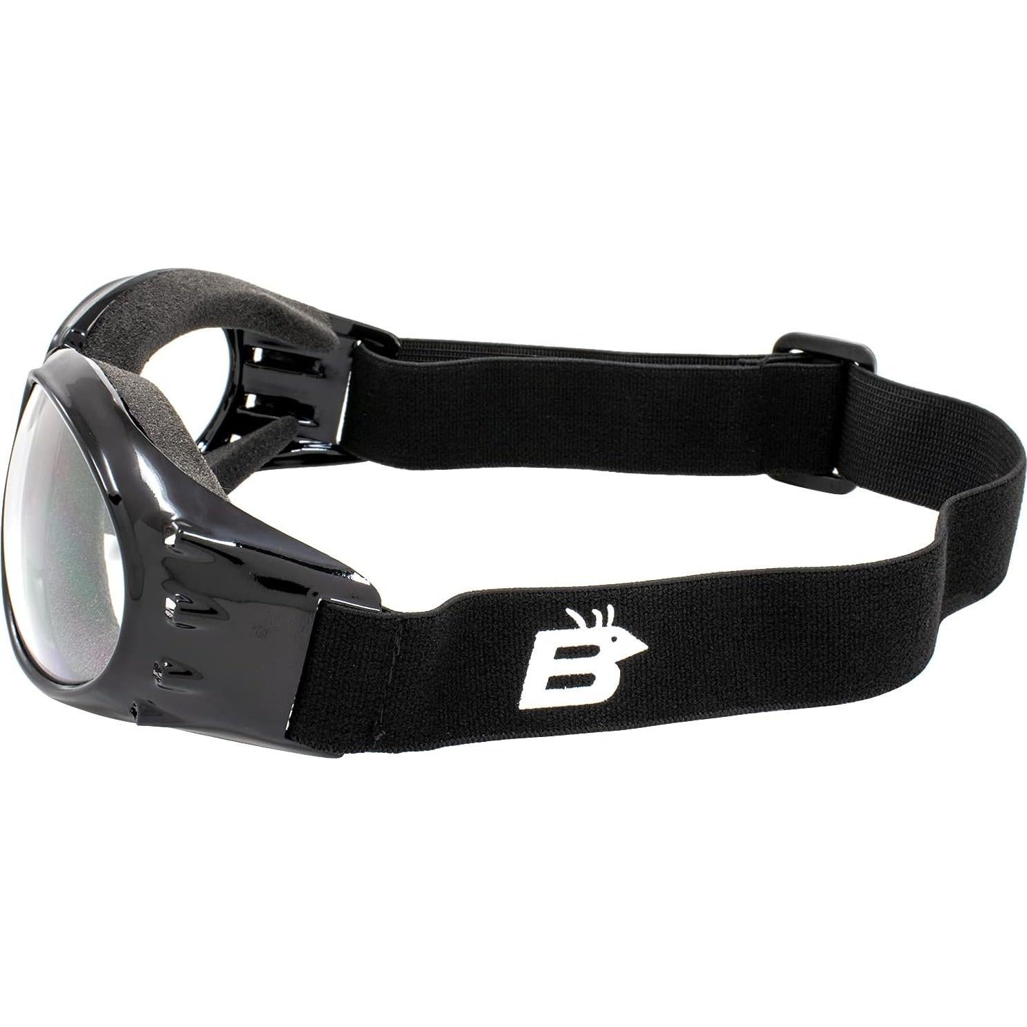 Gafas Birdz Eagle con Lentes Claros y Oscuros para Motocicleta