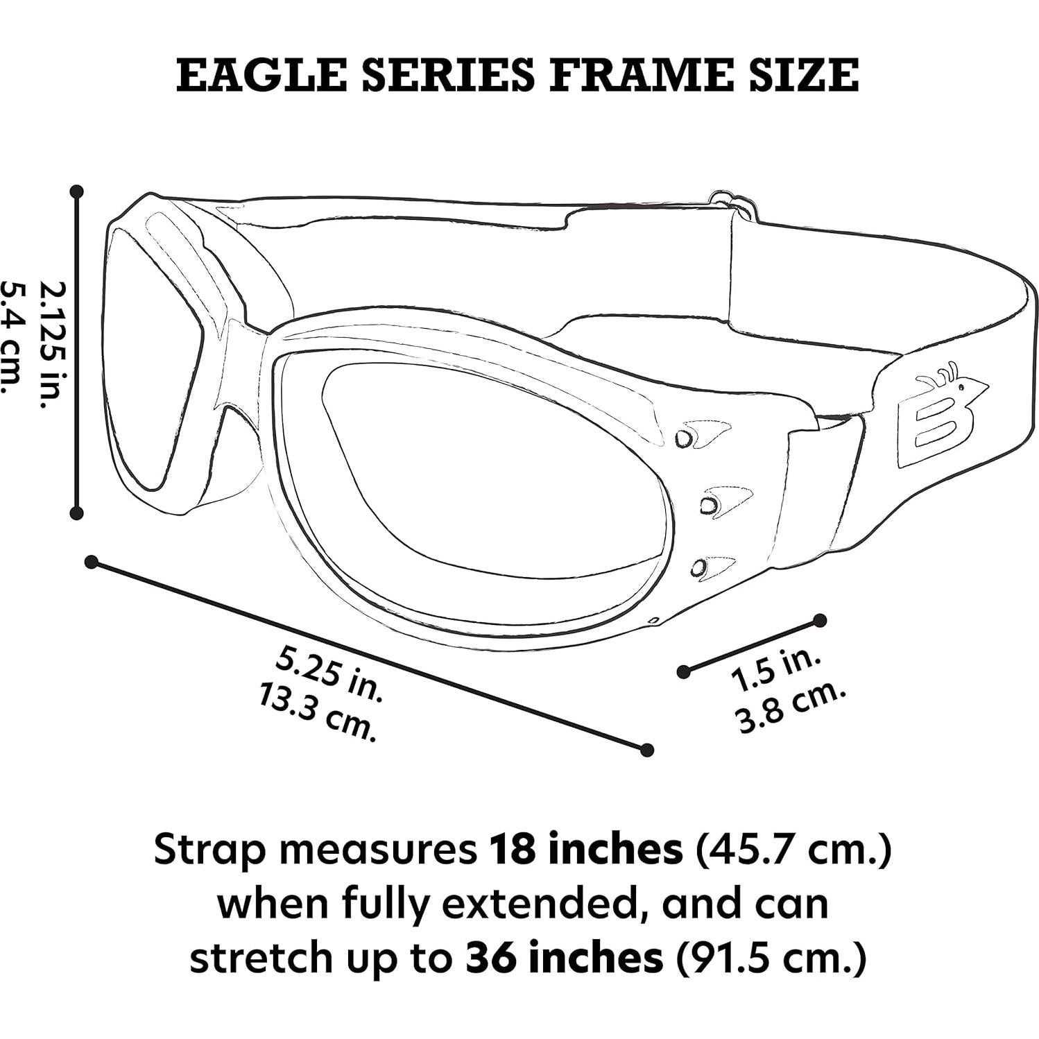 Gafas Birdz Eagle con Lentes Claros y Oscuros para Motocicleta