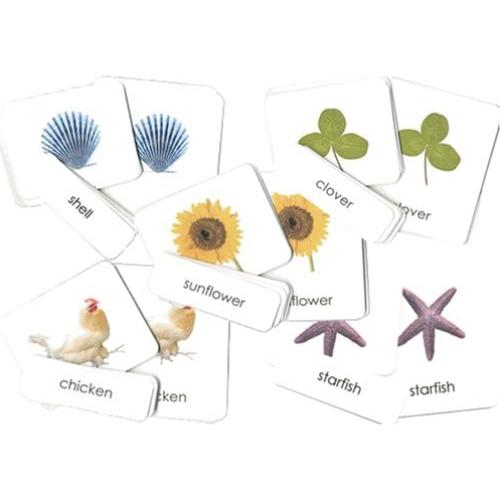 Tarjetas de Lectura Fonética Maitri Learning - 34 Paquetes