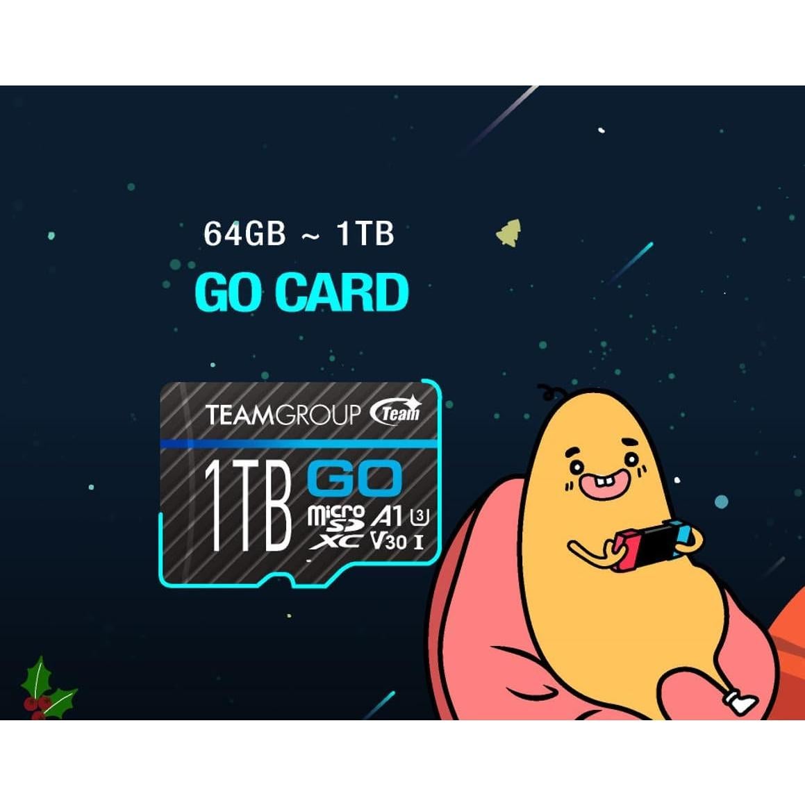 TEAMGROUP GO 256GB Micro SDXC UHS-I U3 V30 para 4K