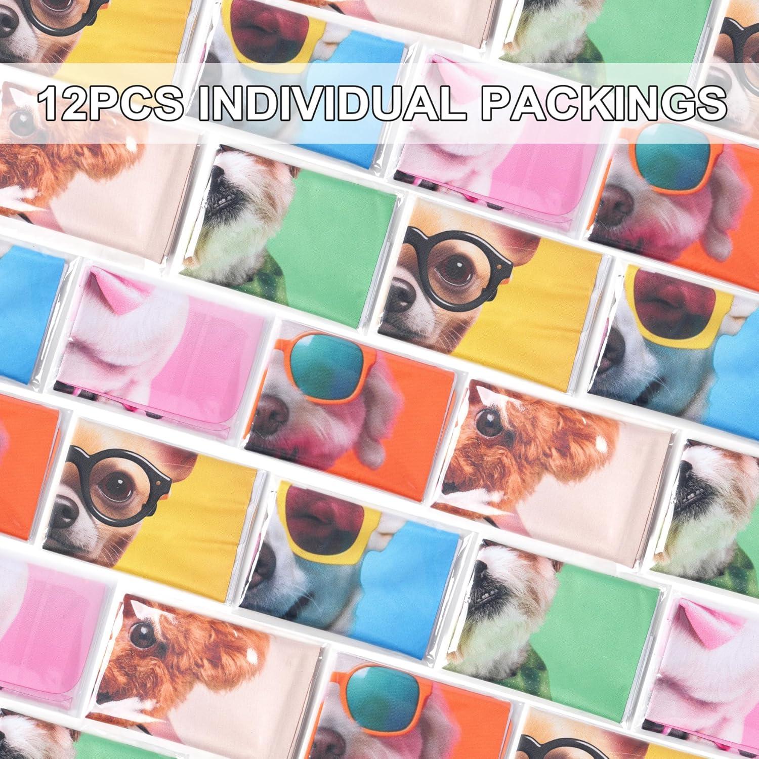 Paquete de 12 Paños de Limpieza SEIBER Multicolor 17x20 cm