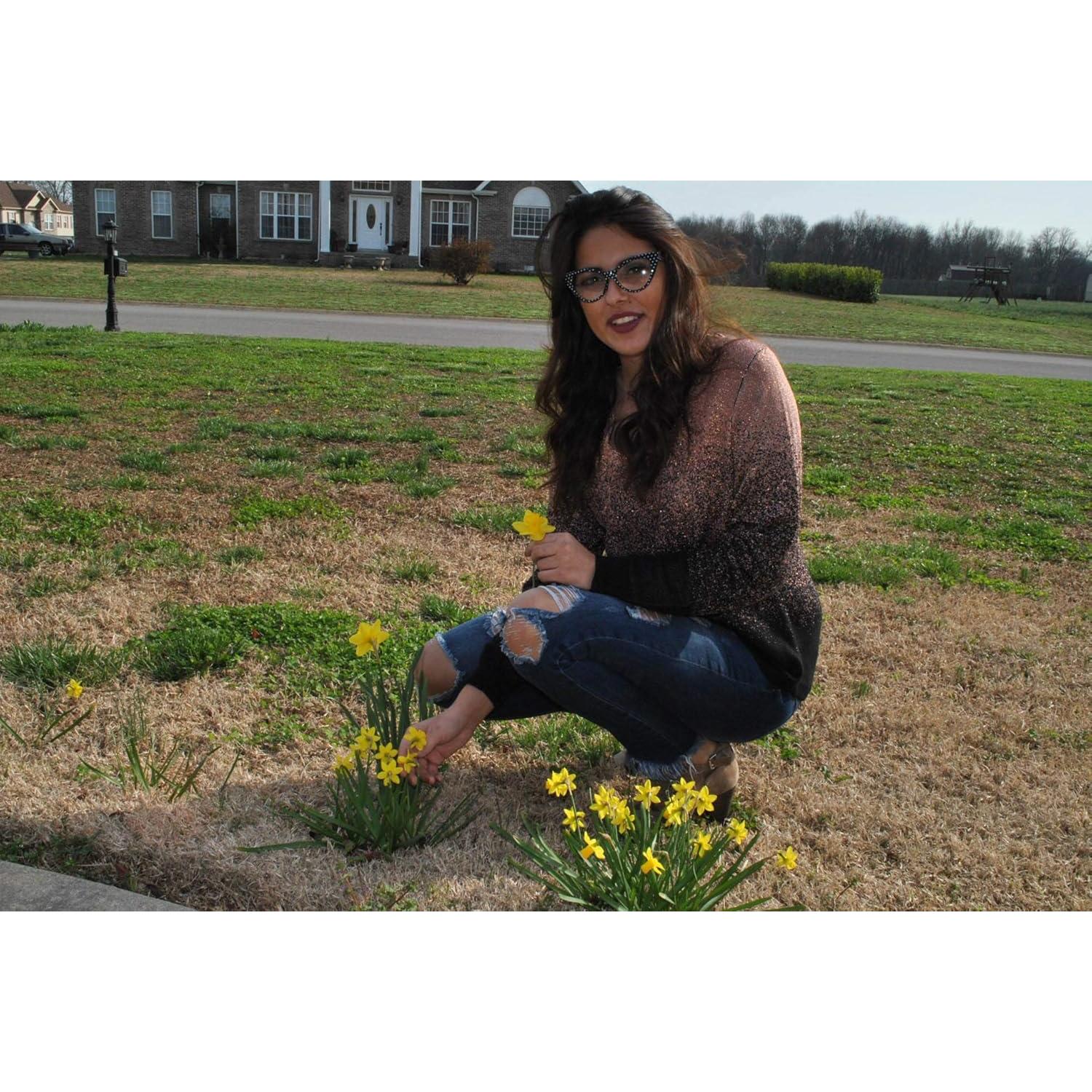 Gafas de sol Cateye para mujeres UV400 estilo retro