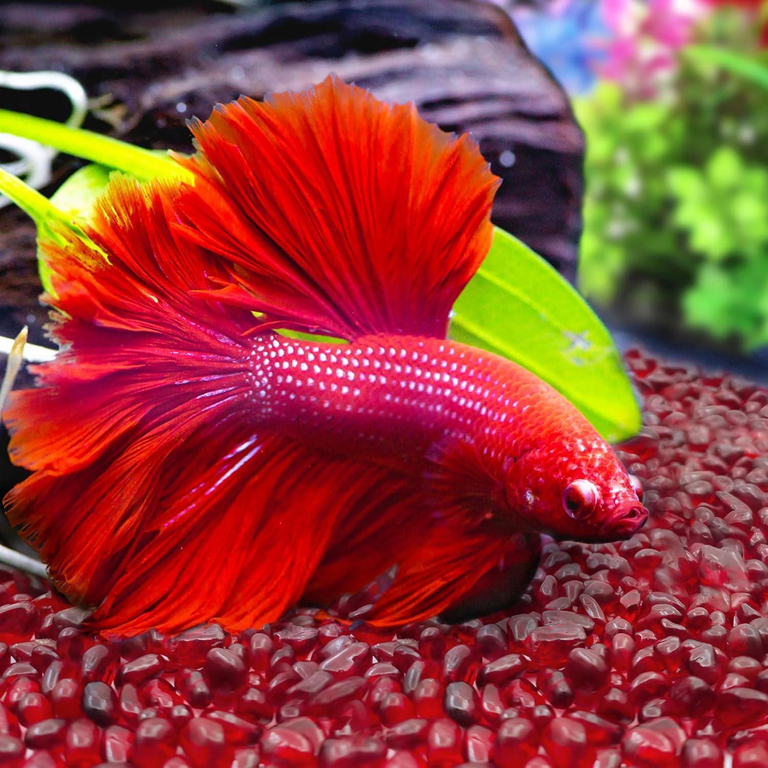 Keedolla Rocas de Acuario 1.43kg Vidrio Rojo Decoración