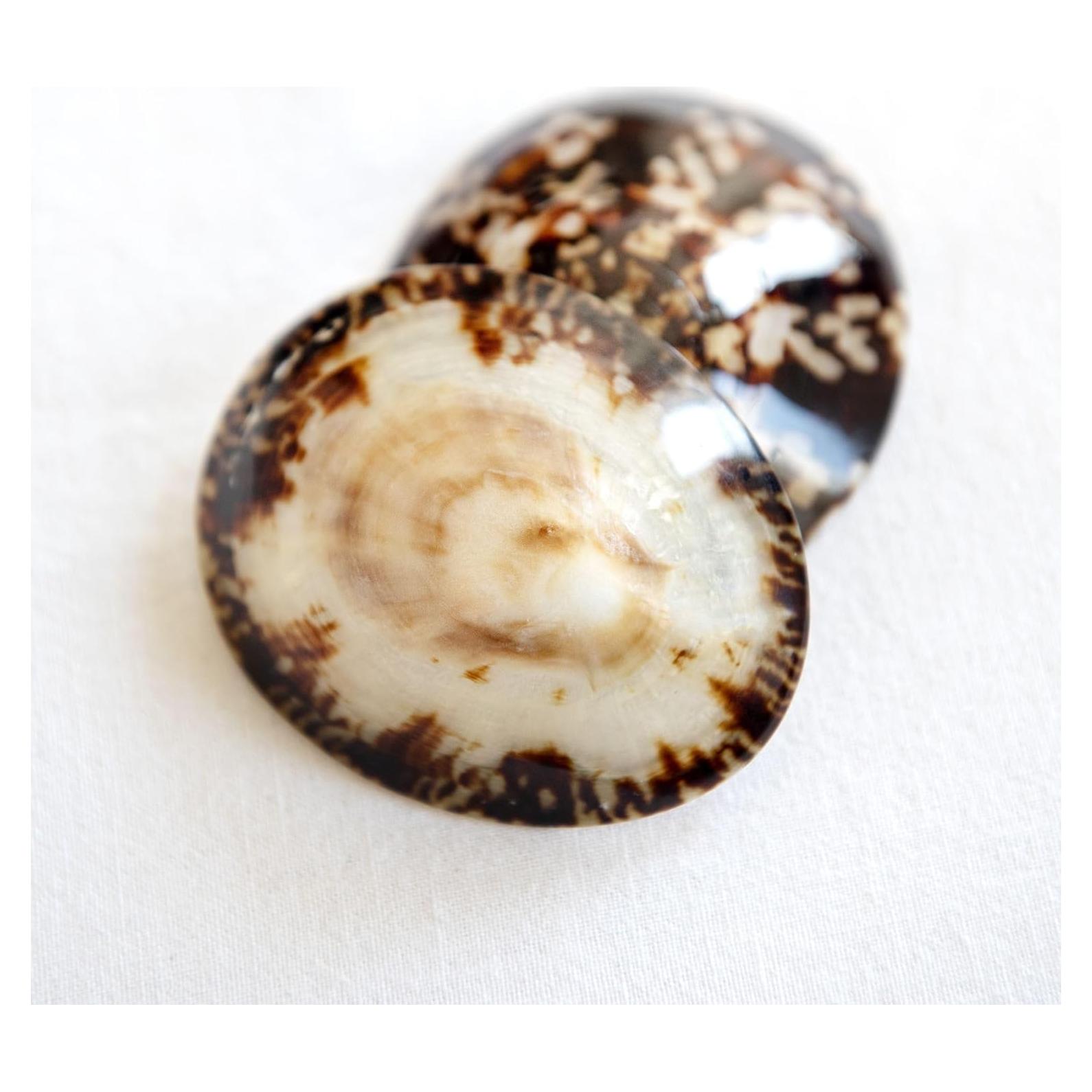 Conchas para Lactancia Shellies - Protectores de Pezón Naturales