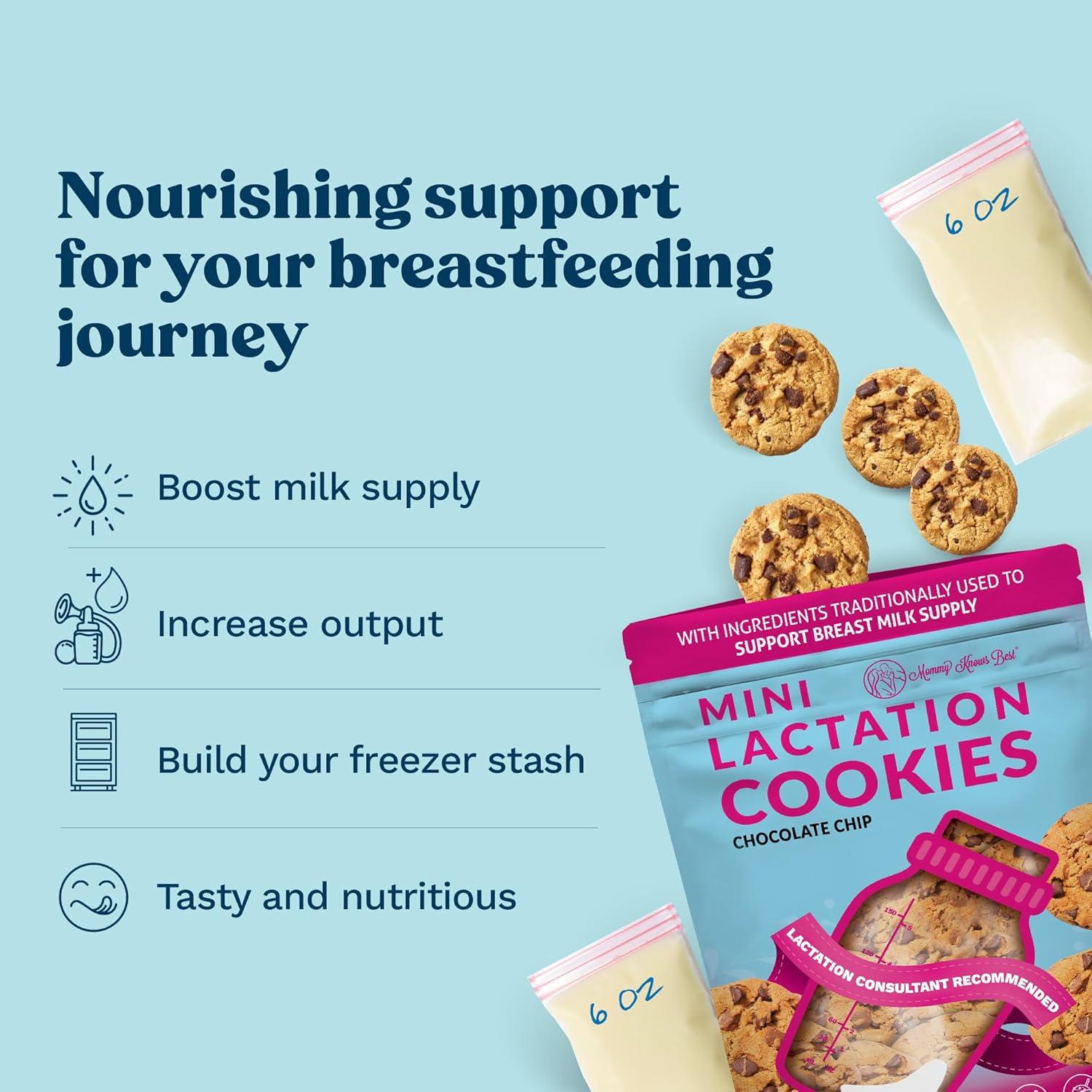 Galletas de Lactancia Mommy Knows Best - Avena y Chocolate