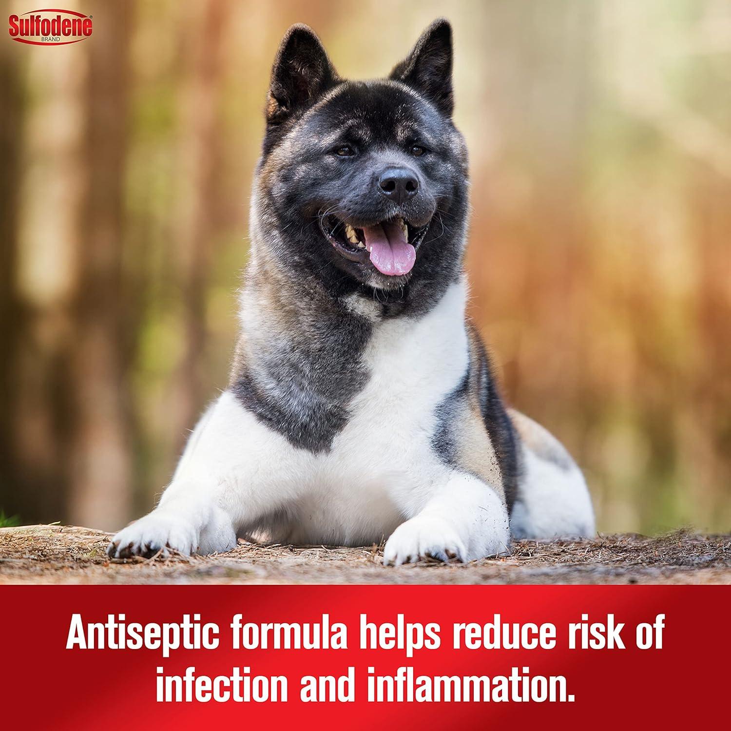 Limpiador de Oídos Antiséptico Sulfodene 113ml para Mascotas