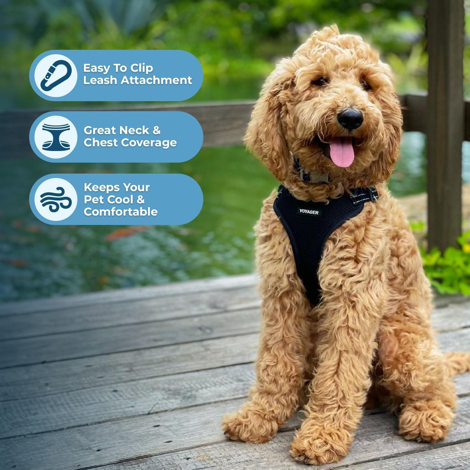 Arnés Ajustable para Perros Voyager Negro XL Transpirable