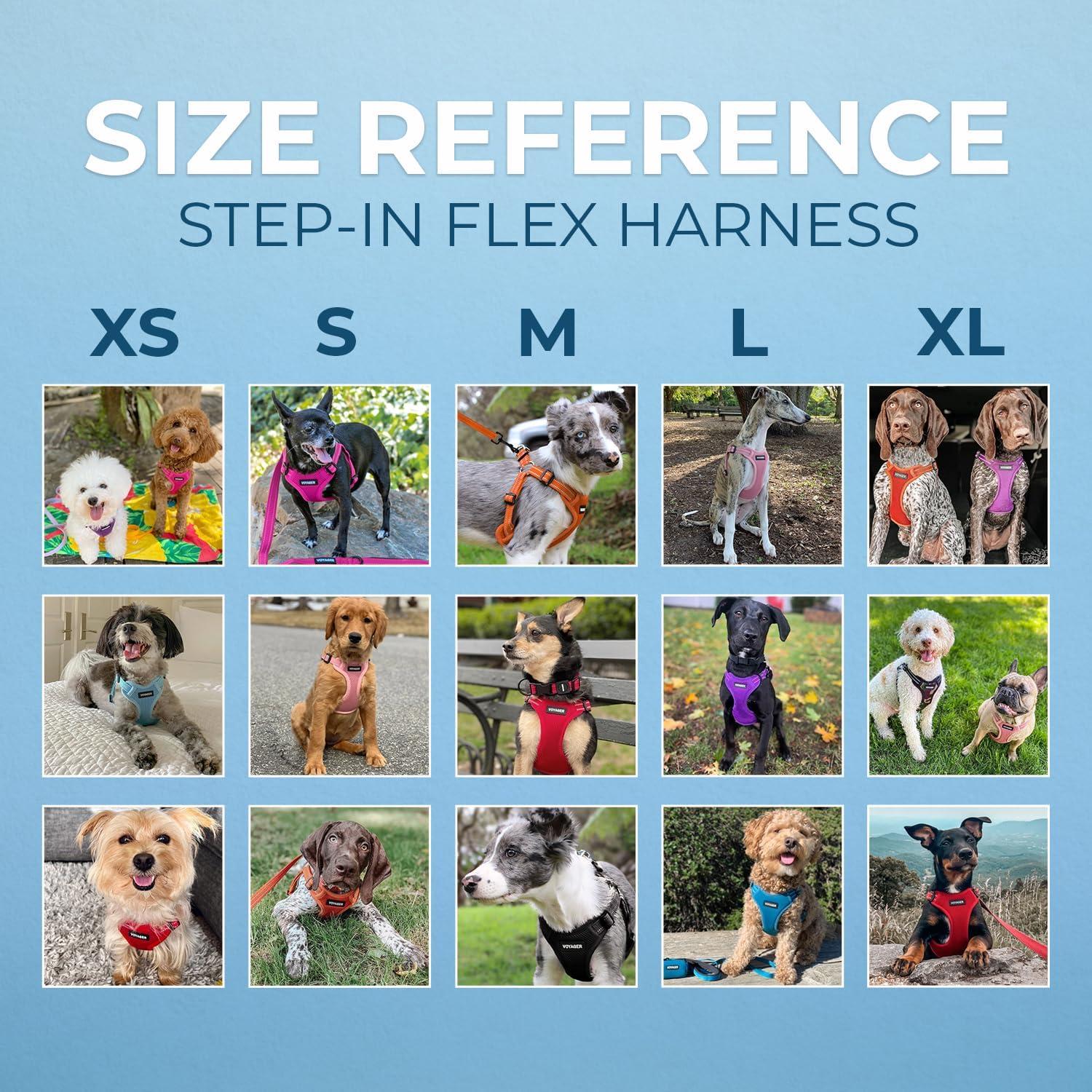 Arnés Ajustable para Perros Voyager Negro XL Transpirable