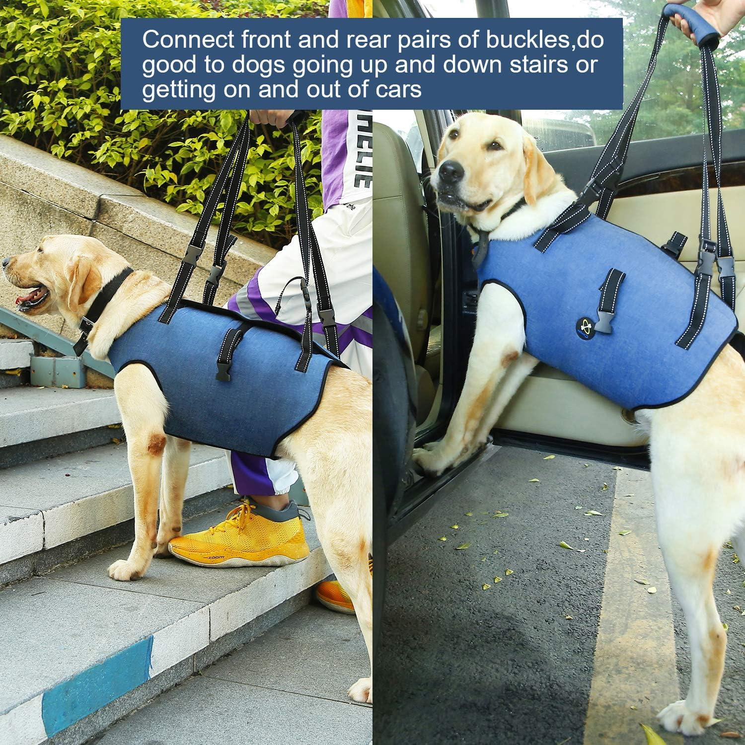 Arnés de Elevación para Perros Hanfu Ajustable Azul L
