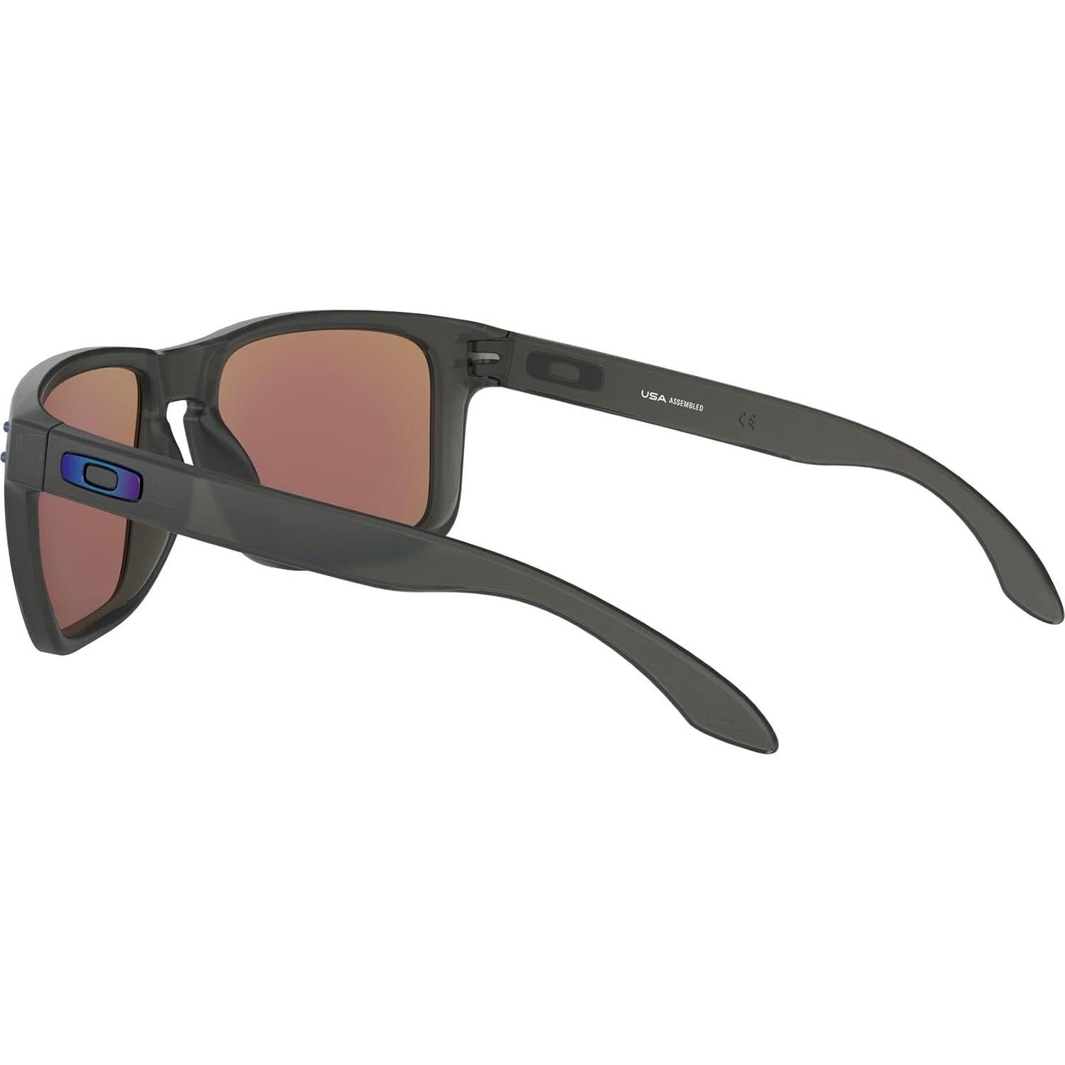 Gafas de sol Oakley Holbrook XL Humo gris Polarizadas
