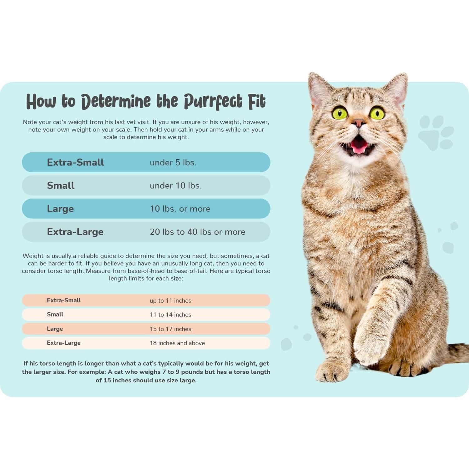 Transportín Grande para Gatos Cat-in-the-bag Azul Claro