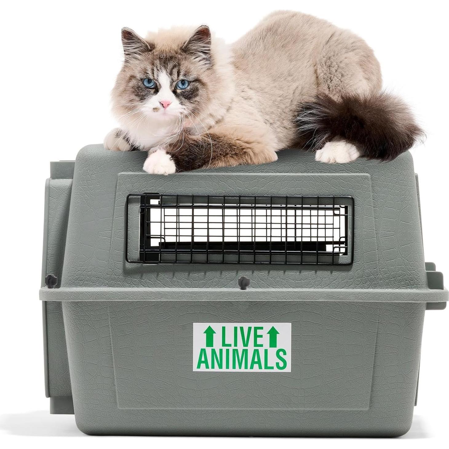 Transportín Petmate Sky Kennel 21" para Perros hasta 6.8 kg