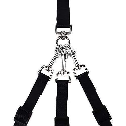 Correa para Perros 3 en 1 MoSANY Ajustable + Cuenco Plegable