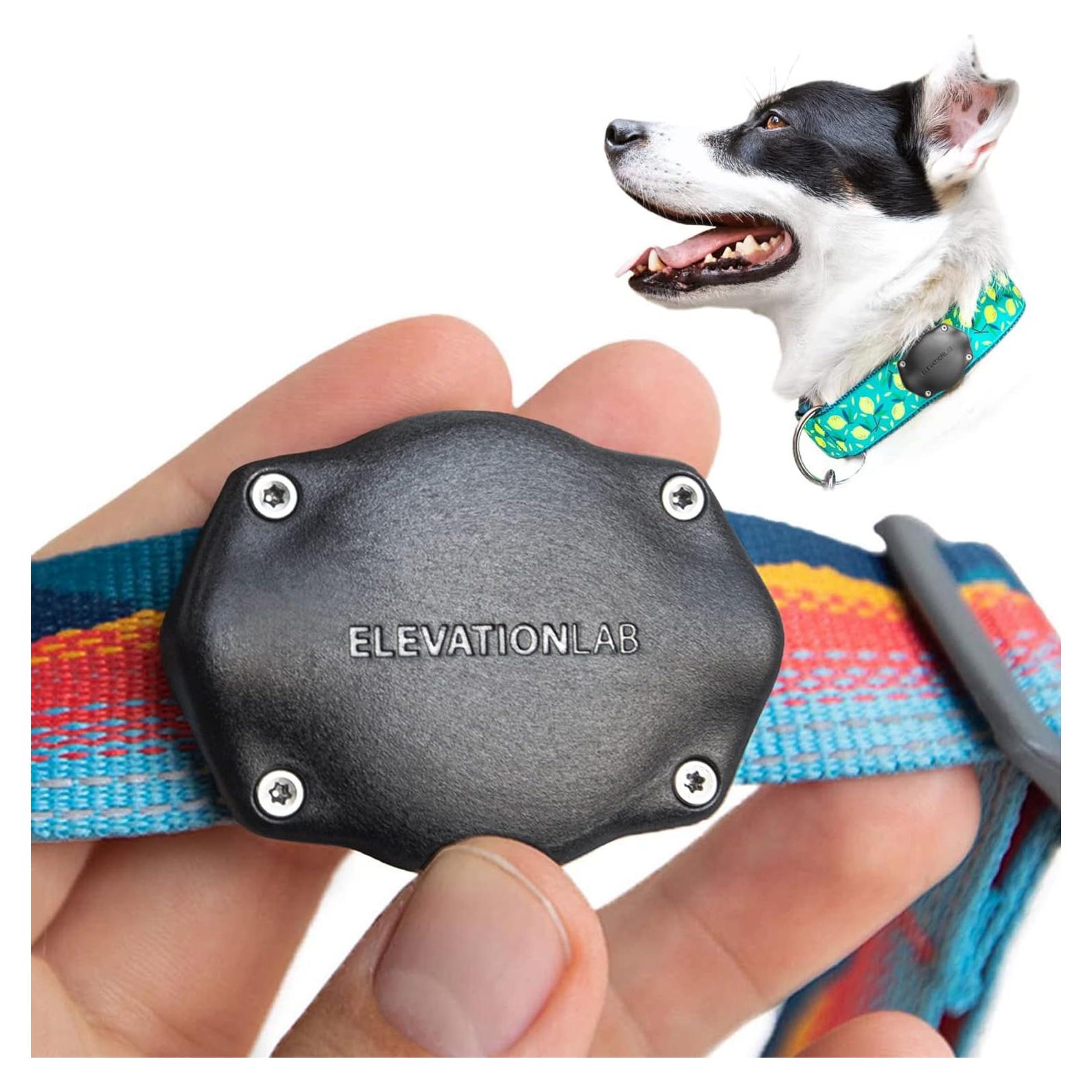 Soporte para collar de perro Elevation Lab AirTag - Impermeable
