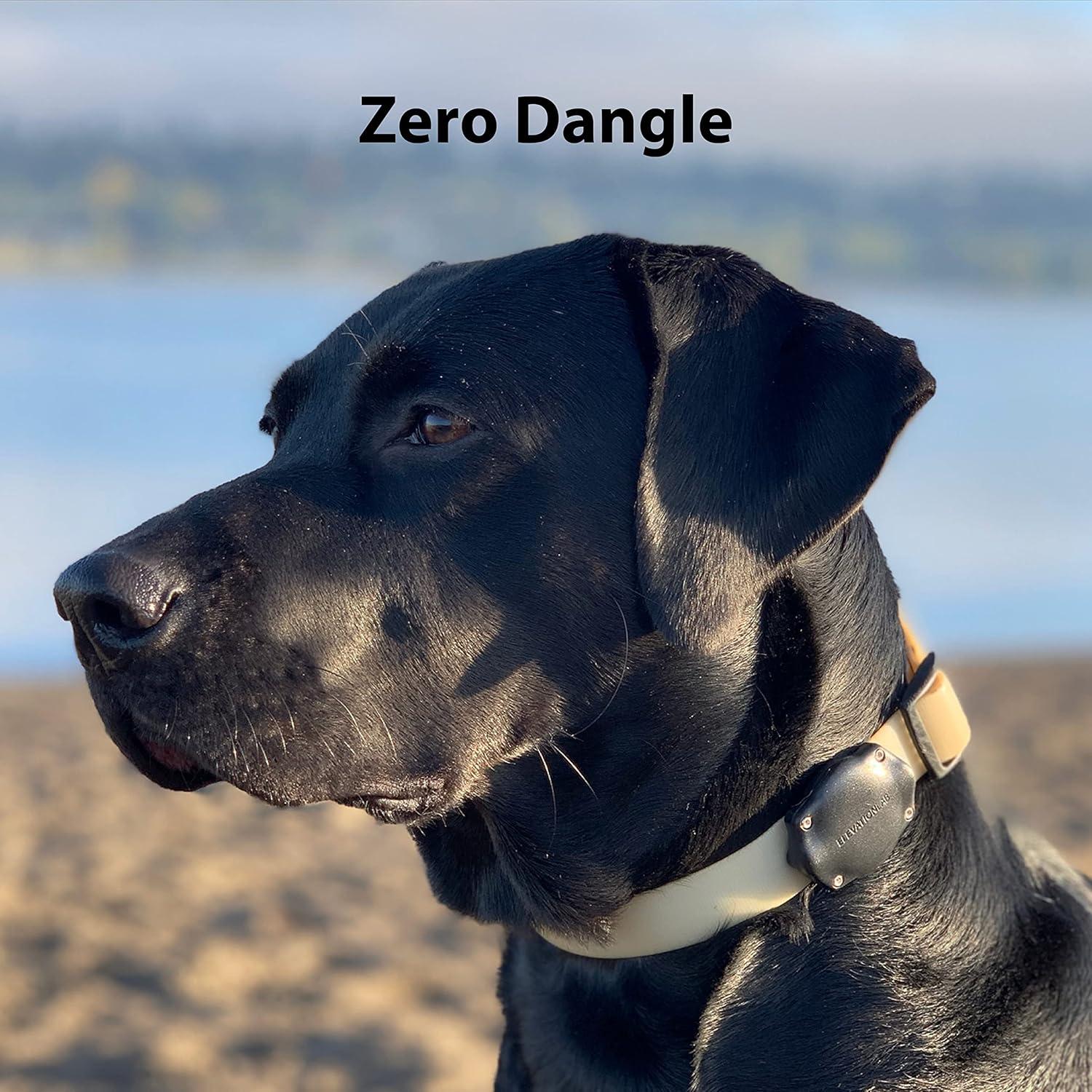 Soporte para collar de perro Elevation Lab AirTag - Impermeable