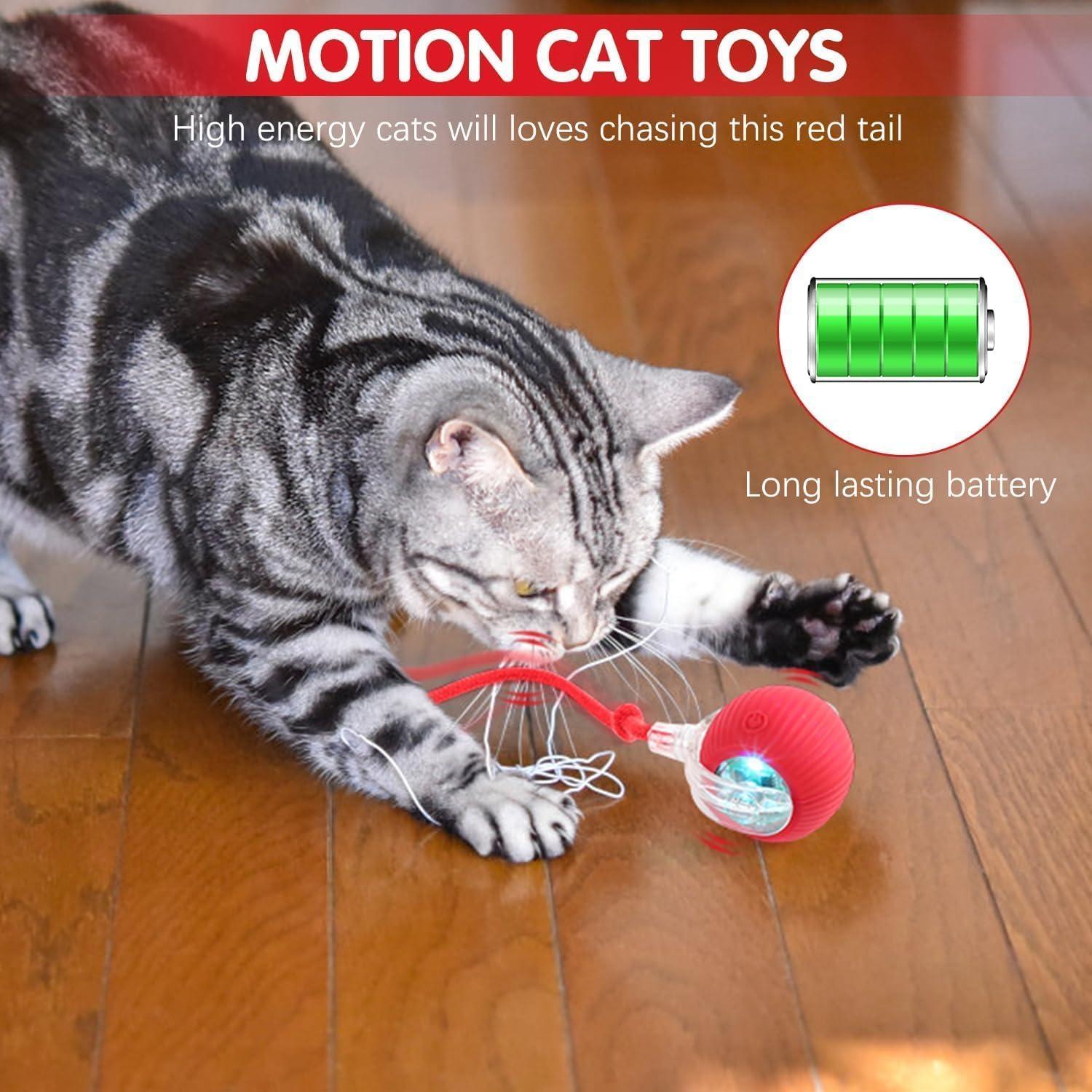 Juguete Interactivo para Gatos BLUEYPET Bola Recargable