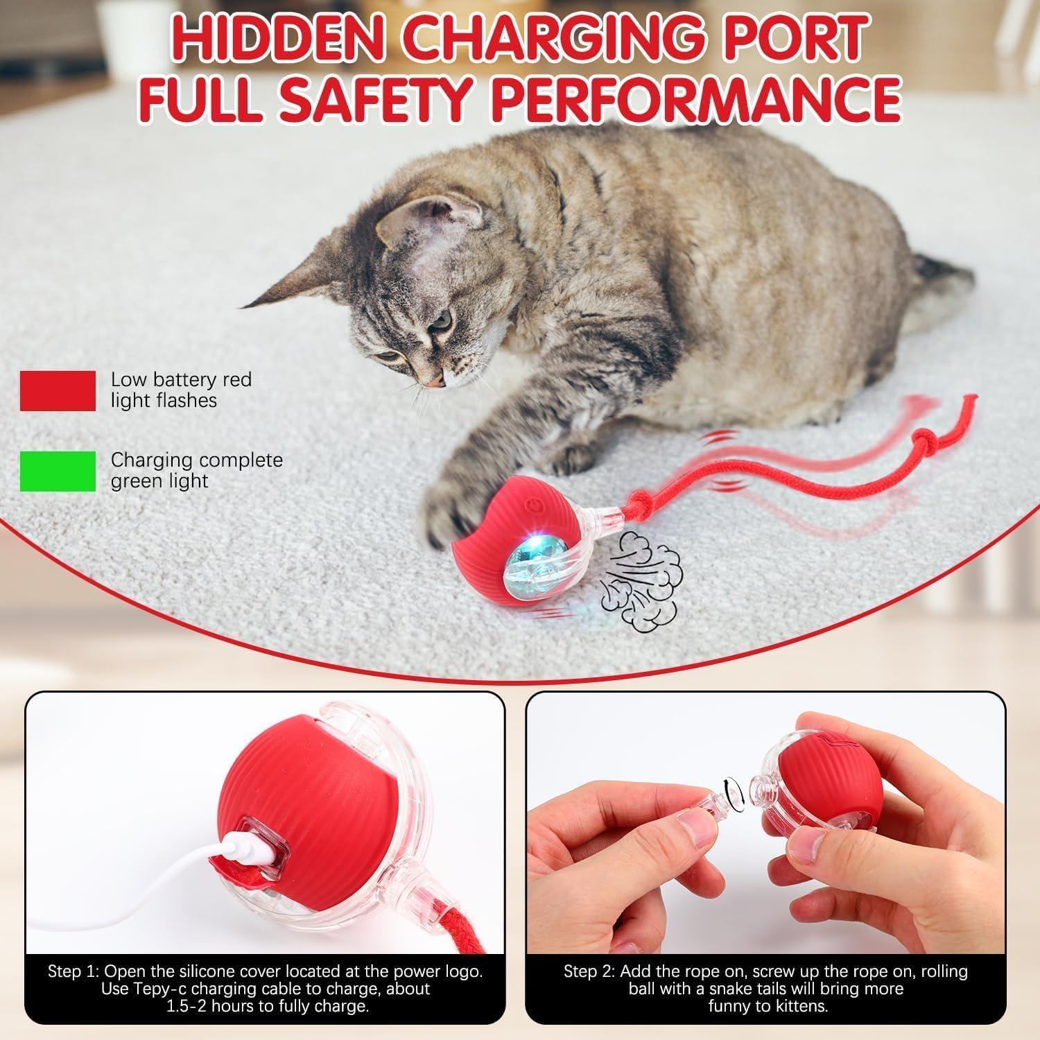 Juguete Interactivo para Gatos BLUEYPET Bola Recargable