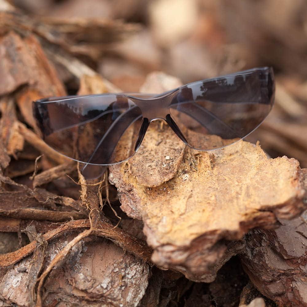 Gafas de Seguridad BISON LIFE - 12 Pares Envolventes