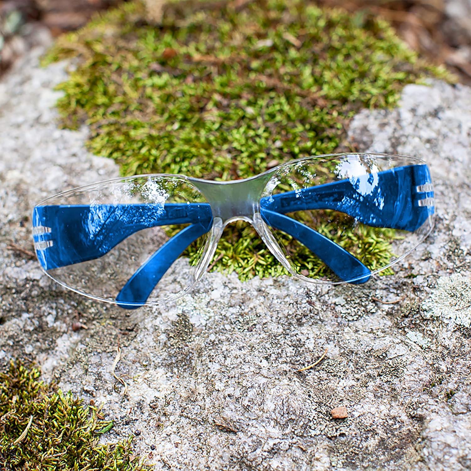 Gafas de Seguridad BISON LIFE - Lente Clara y Templo Azul