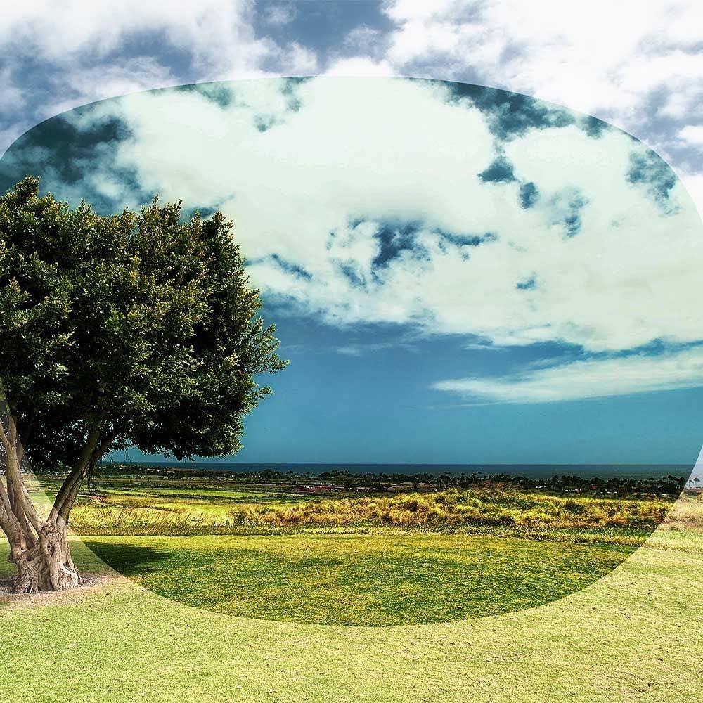 Gafas de sol polarizadas CARFIA UV400 para hombres