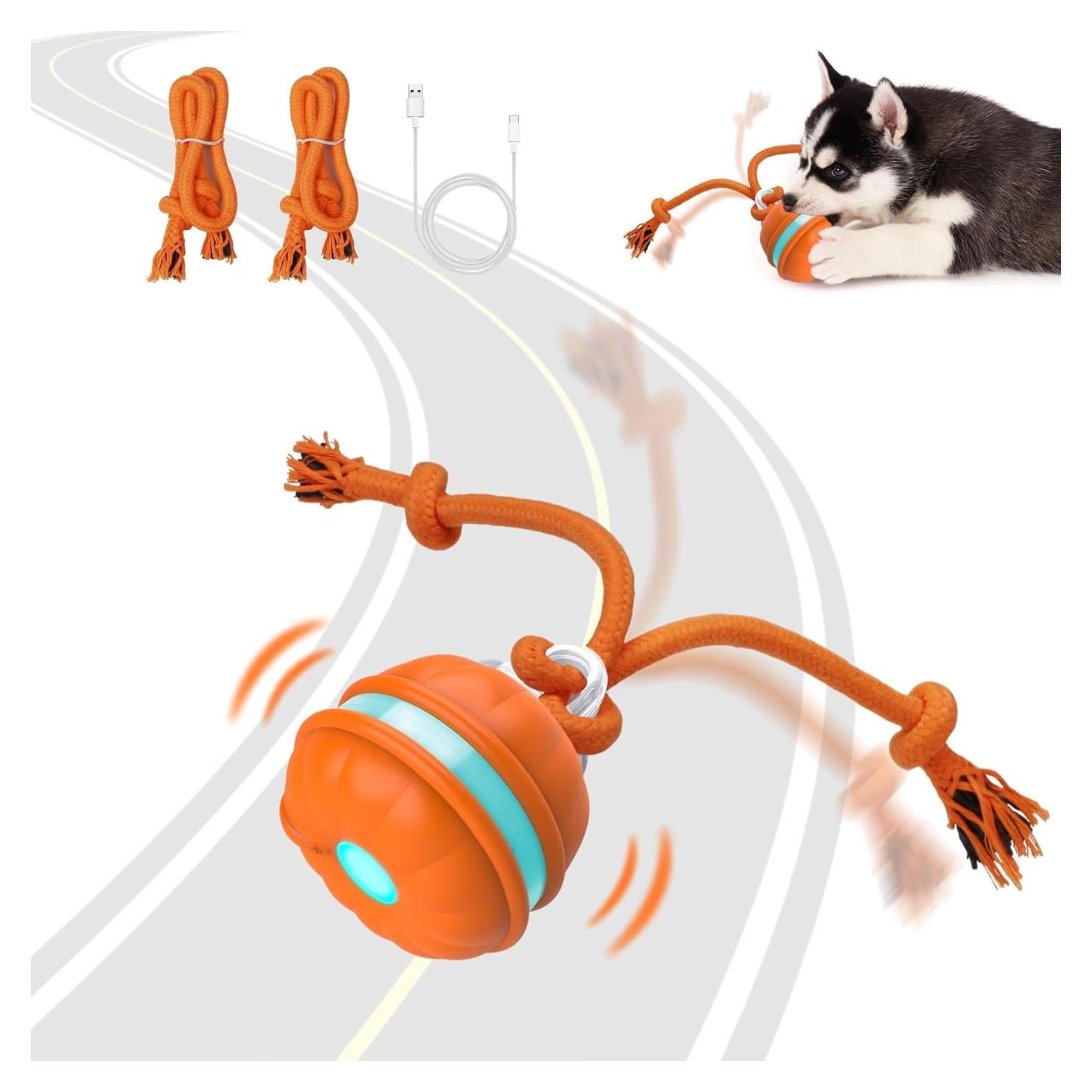 Bola Interactiva para Perros Sofolor 6.2cm Recargable USB