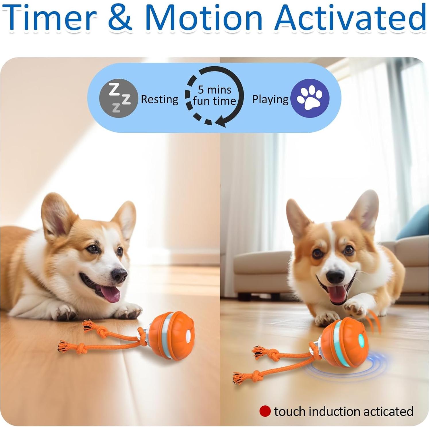 Bola Interactiva para Perros Sofolor 6.2cm Recargable USB