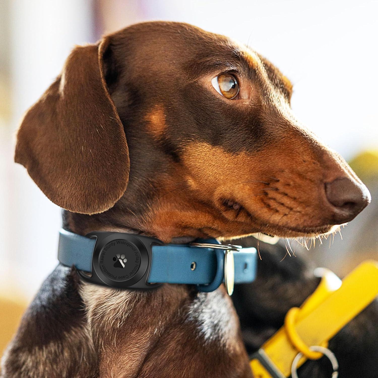 Soporte para Collar de Perro Airtag Tieuwant Negro