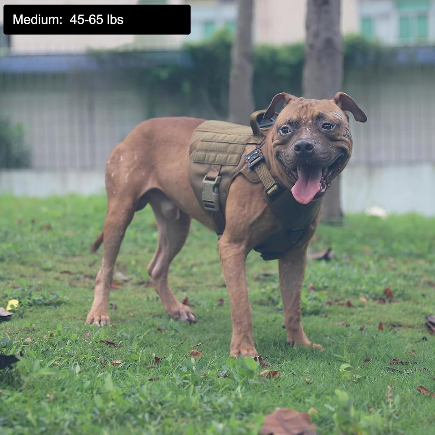 Arnés Táctico para Perros ICEFANG Mediano, Chaleco MOLLE