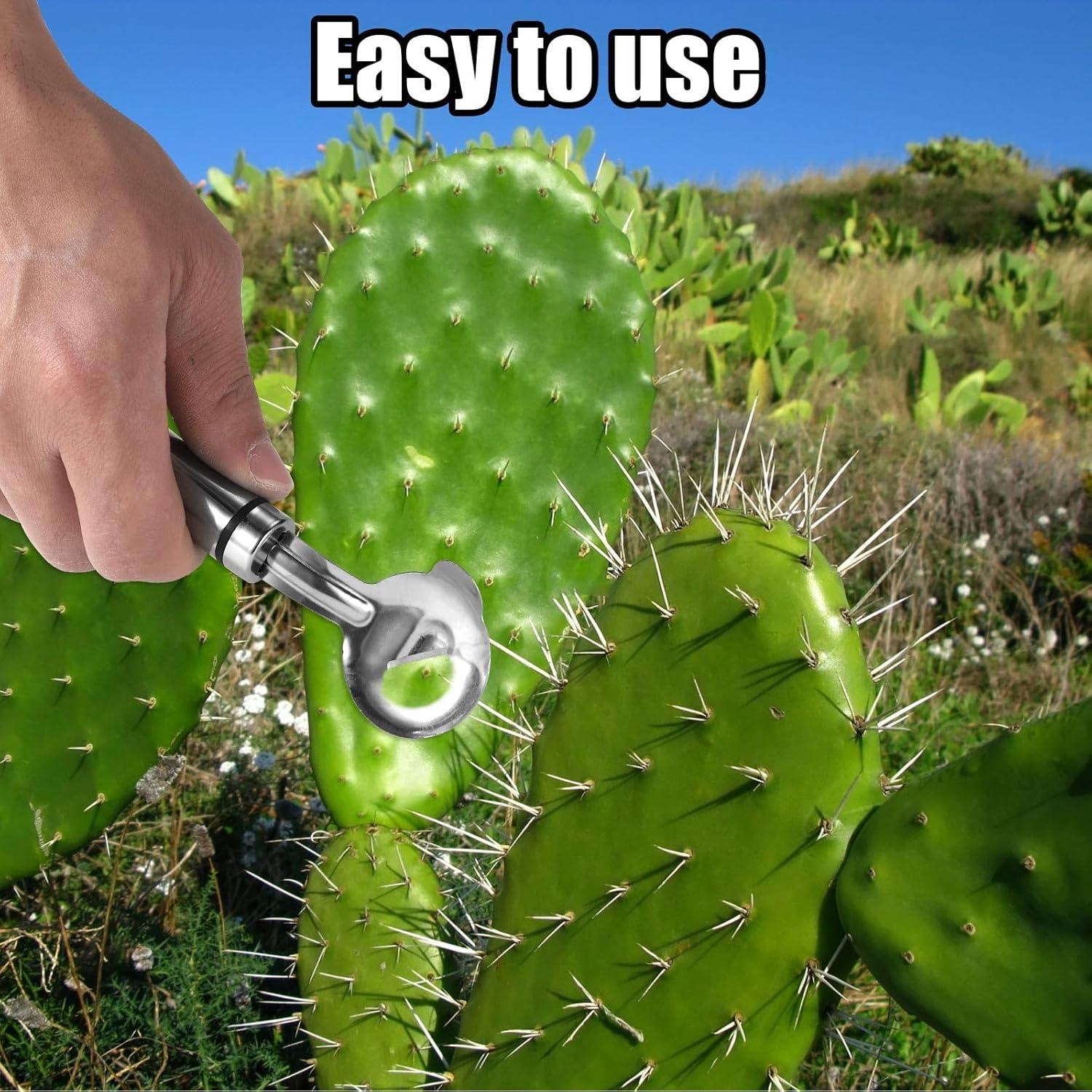 Juego de 2 Herramientas para Pelar Cactus Lyreh - Acero Inoxidable