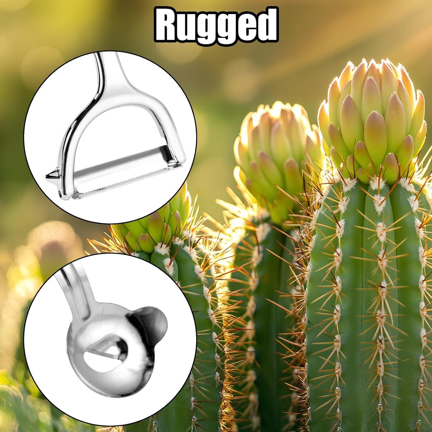 Juego de 2 Herramientas para Pelar Cactus Lyreh - Acero Inoxidable