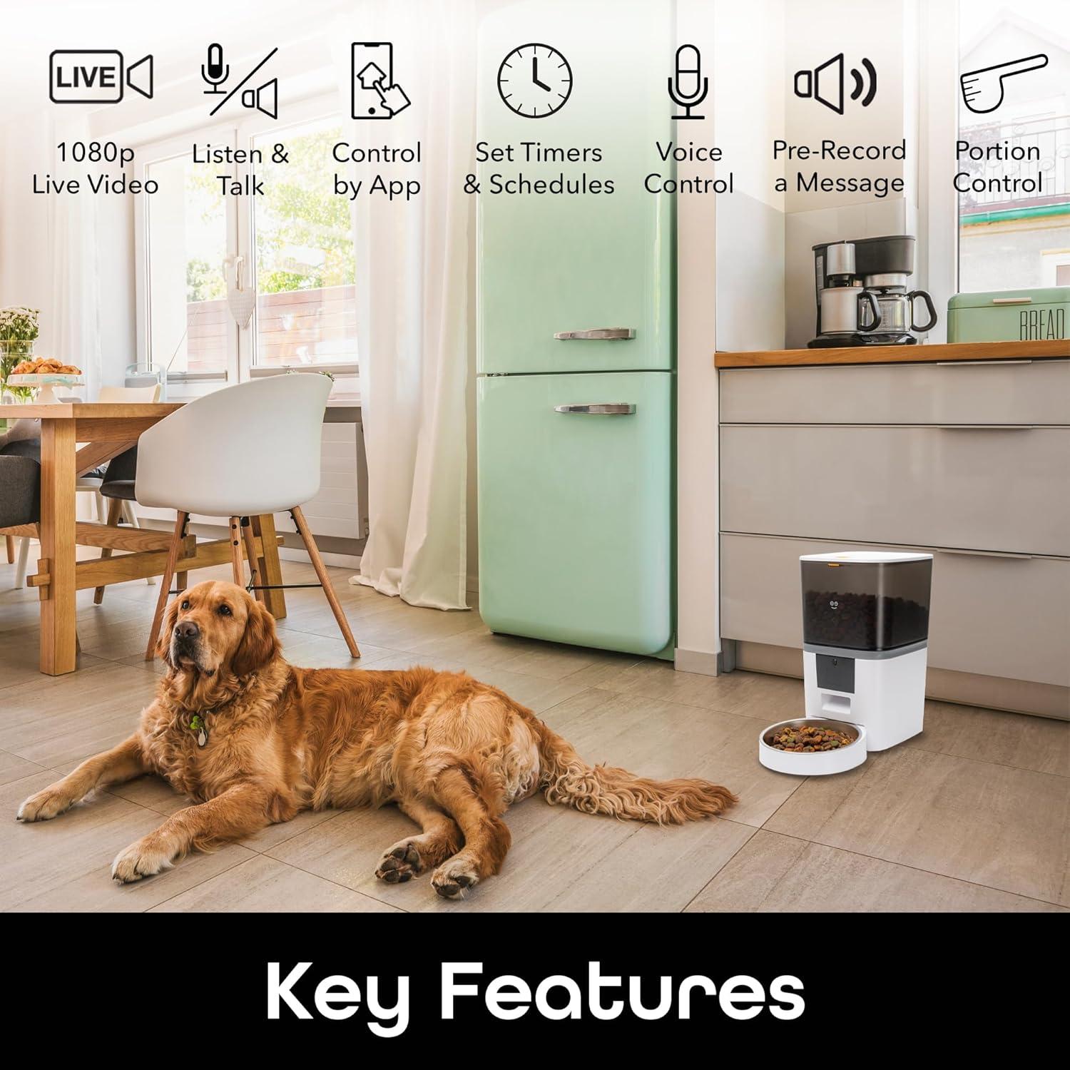 Comedero Inteligente Geeni 6L con Cámara 1080p y WiFi