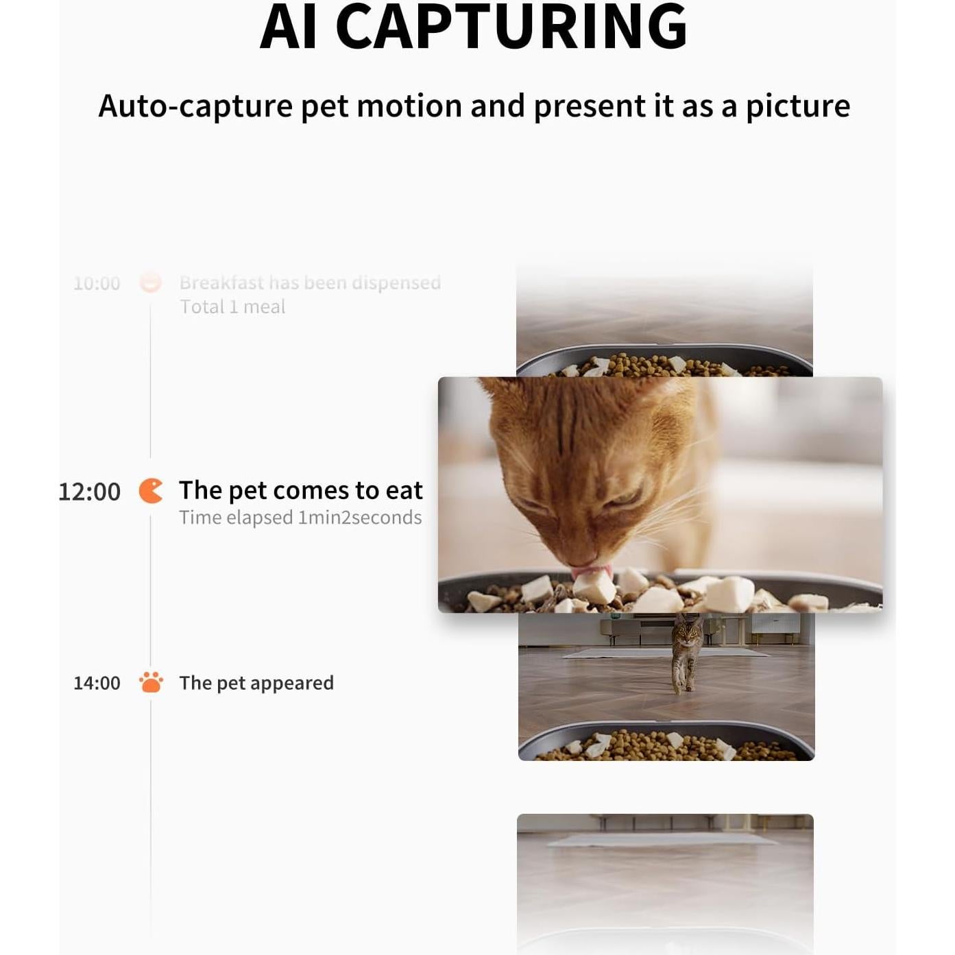 Comedero Automático PETKIT Yumshare Doble Tolva con Cámara HD