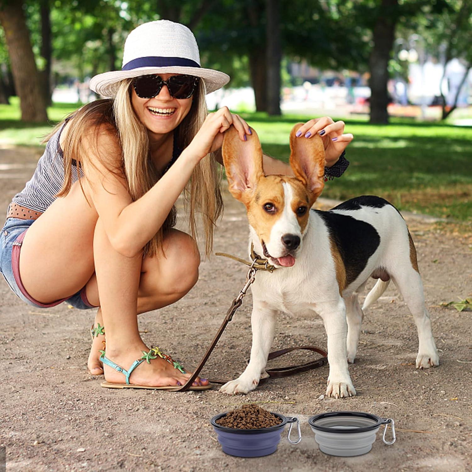 Cuenco Plegable para Perros SLSON Pequeño con Tapa