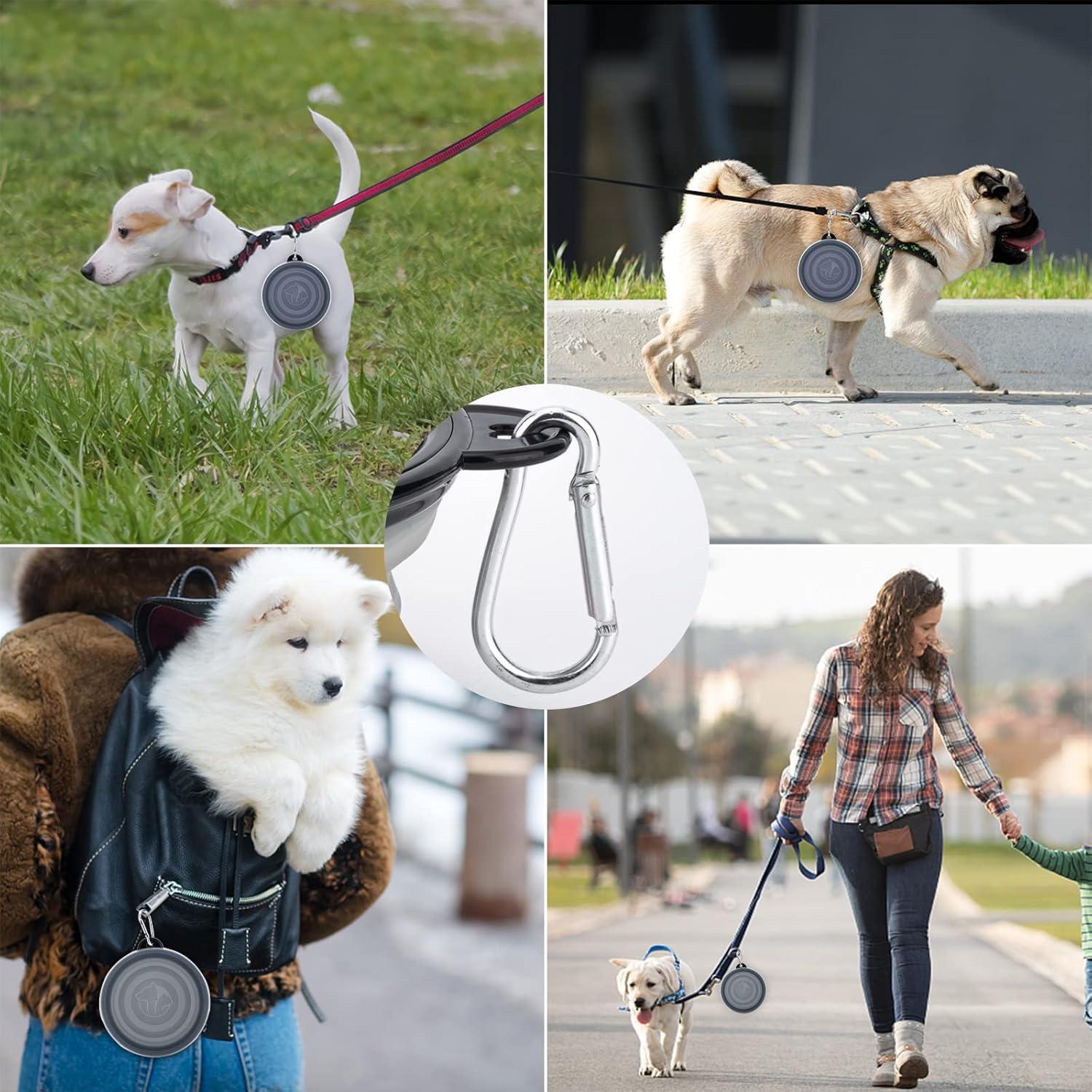 Cuenco Plegable para Perros SLSON Pequeño con Tapa