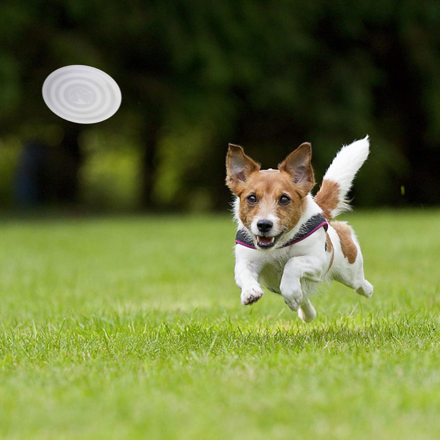 Cuenco Plegable para Perros SLSON Pequeño con Tapa