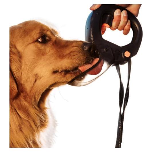 Botella de Agua para Perros Spleash Naranja 354 ml Abatible