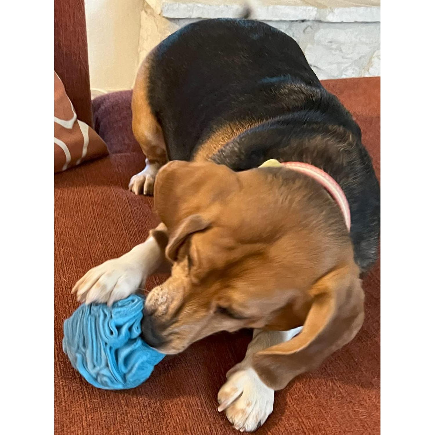 Juguete interactivo para perros Glory To Dog bola azul