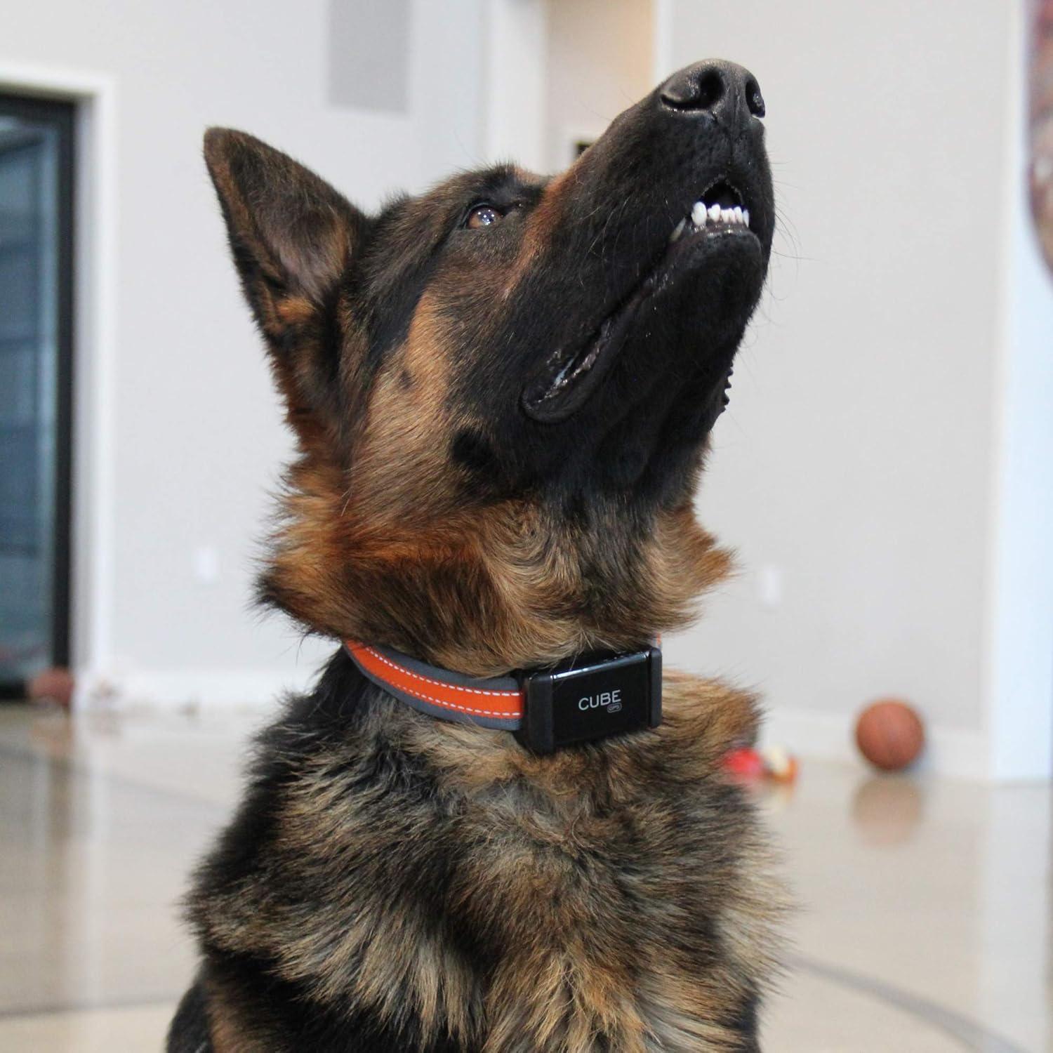 Clips de Sujeción GPS Cube para Mascotas y Mochilas - 3 Tamaños