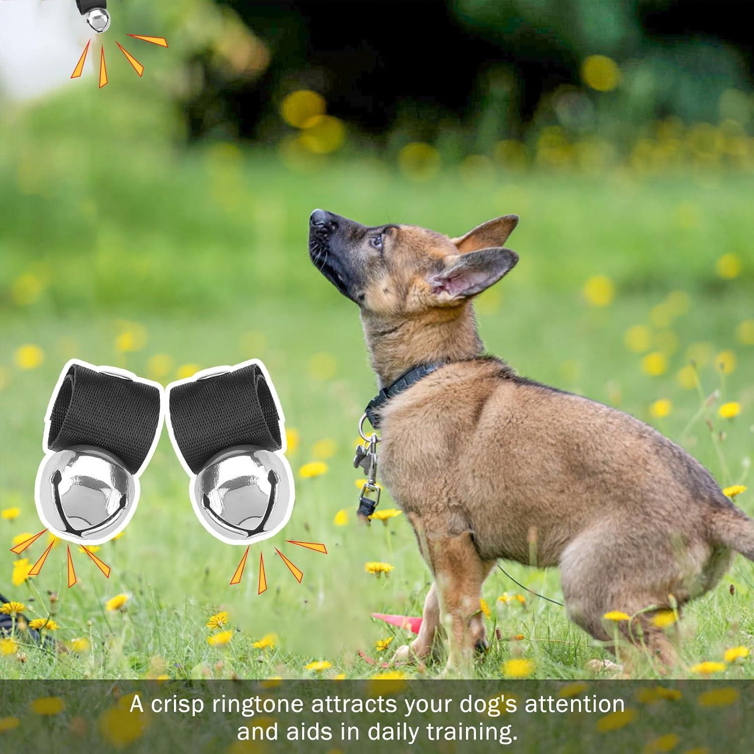 Campana para Perros SCENEREAL, 2 Campanas Antirrobo Plata