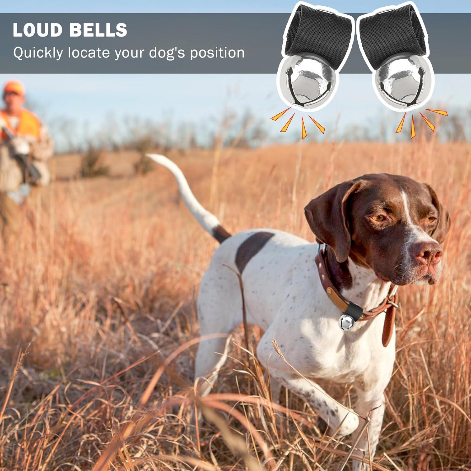 Campana para Perros SCENEREAL, 2 Campanas Antirrobo Plata