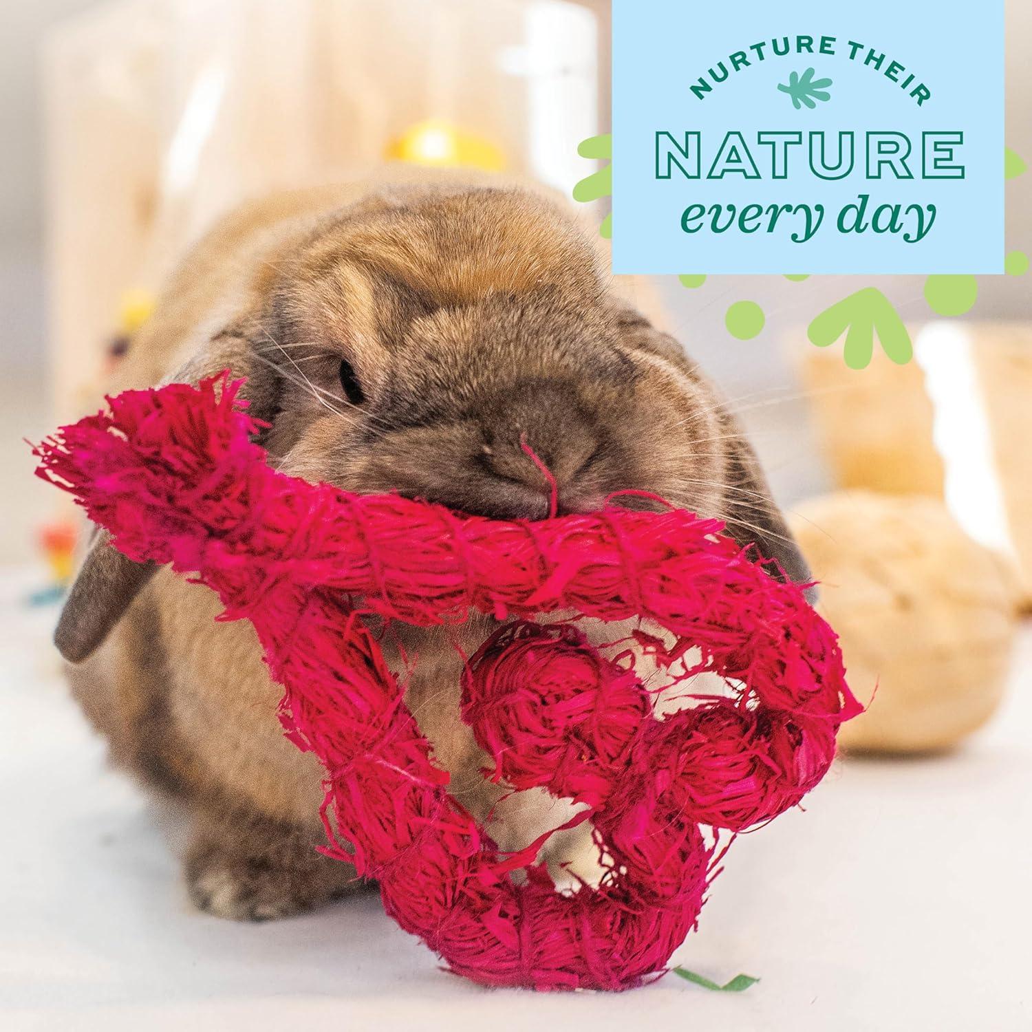 Juguete para Conejos Oxbow Corazón Enriquecido 12.39x18.73cm