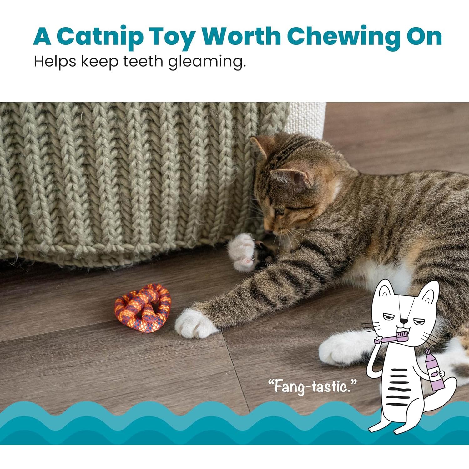 Juguete Masticar Dental Catnip Petstages Pretzel 6.35cm