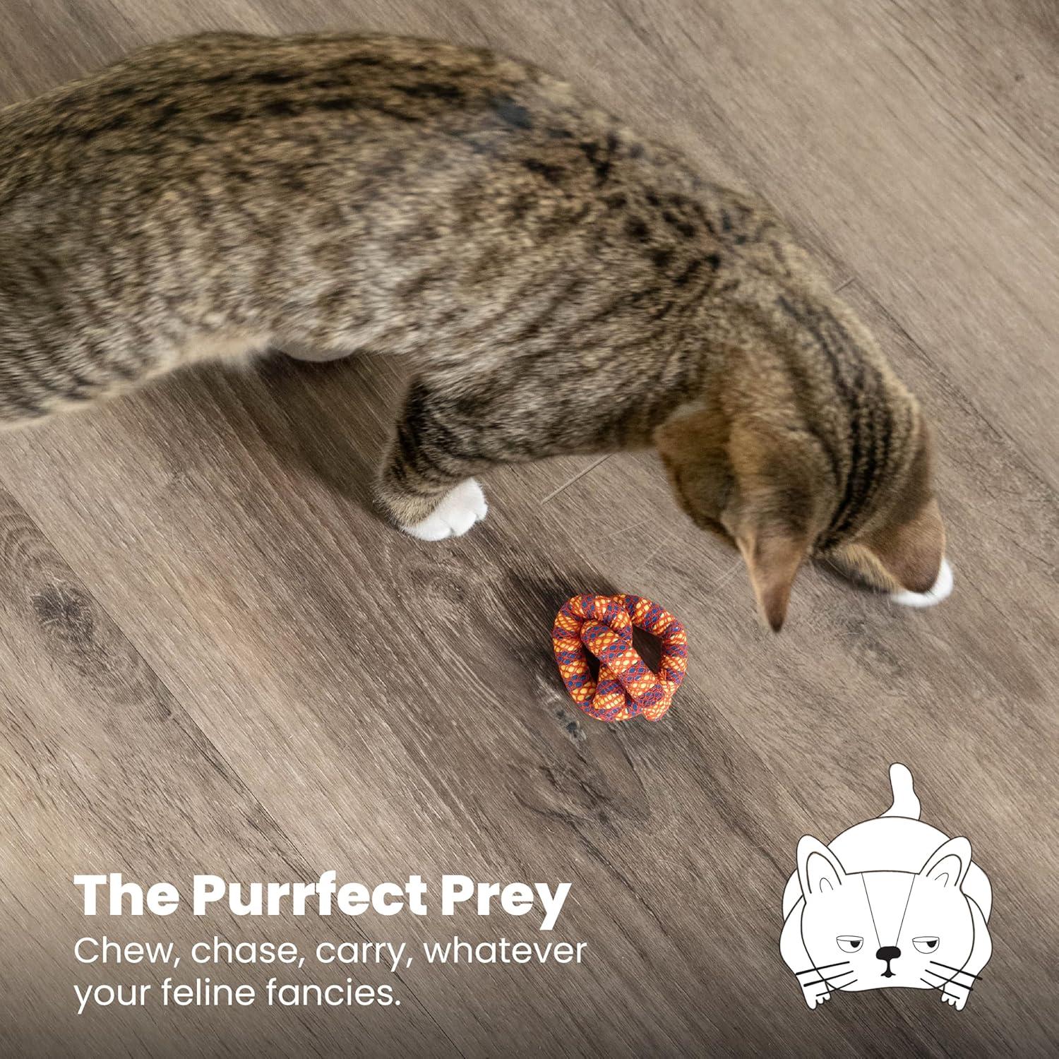 Juguete Masticar Dental Catnip Petstages Pretzel 6.35cm