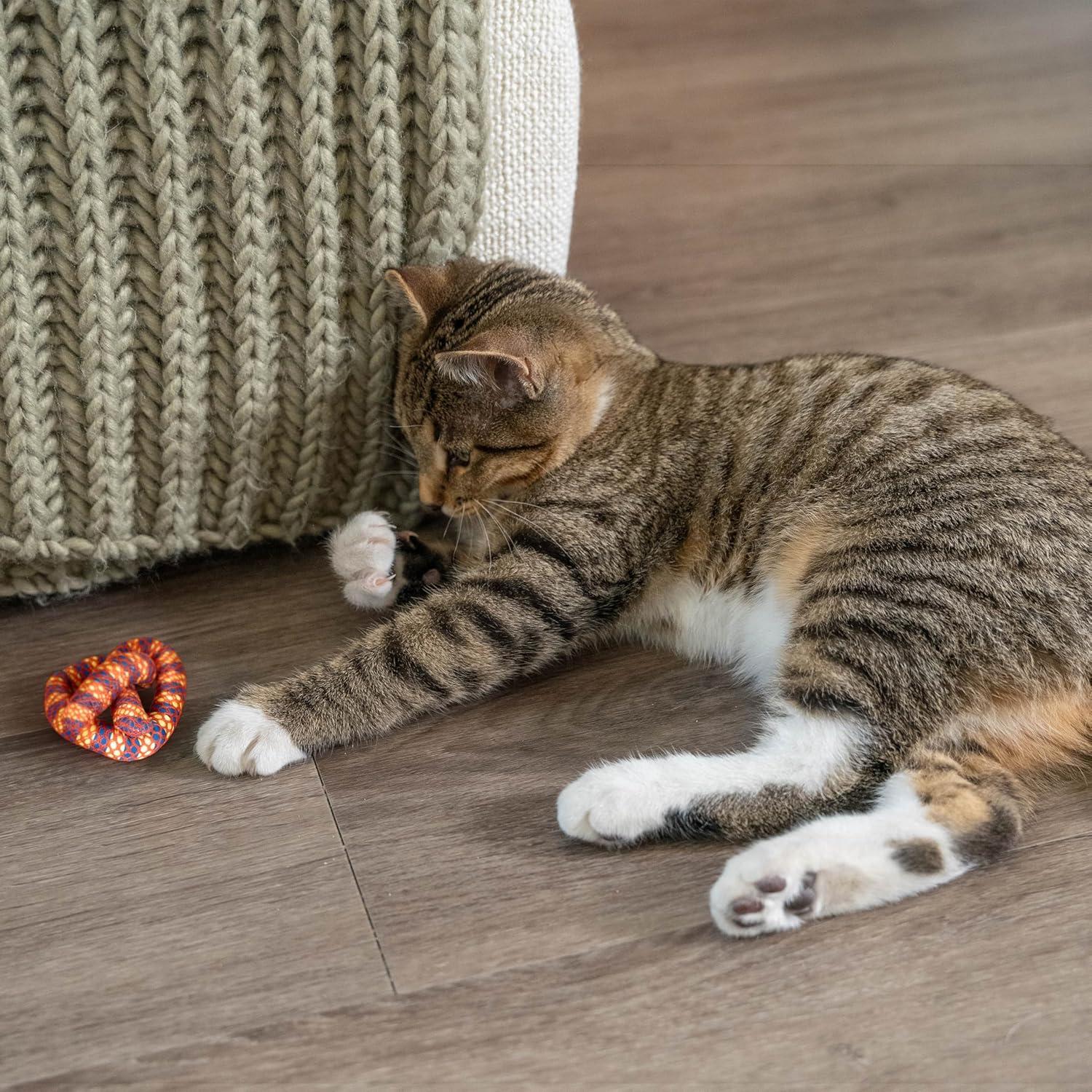 Juguete Masticar Dental Catnip Petstages Pretzel 6.35cm