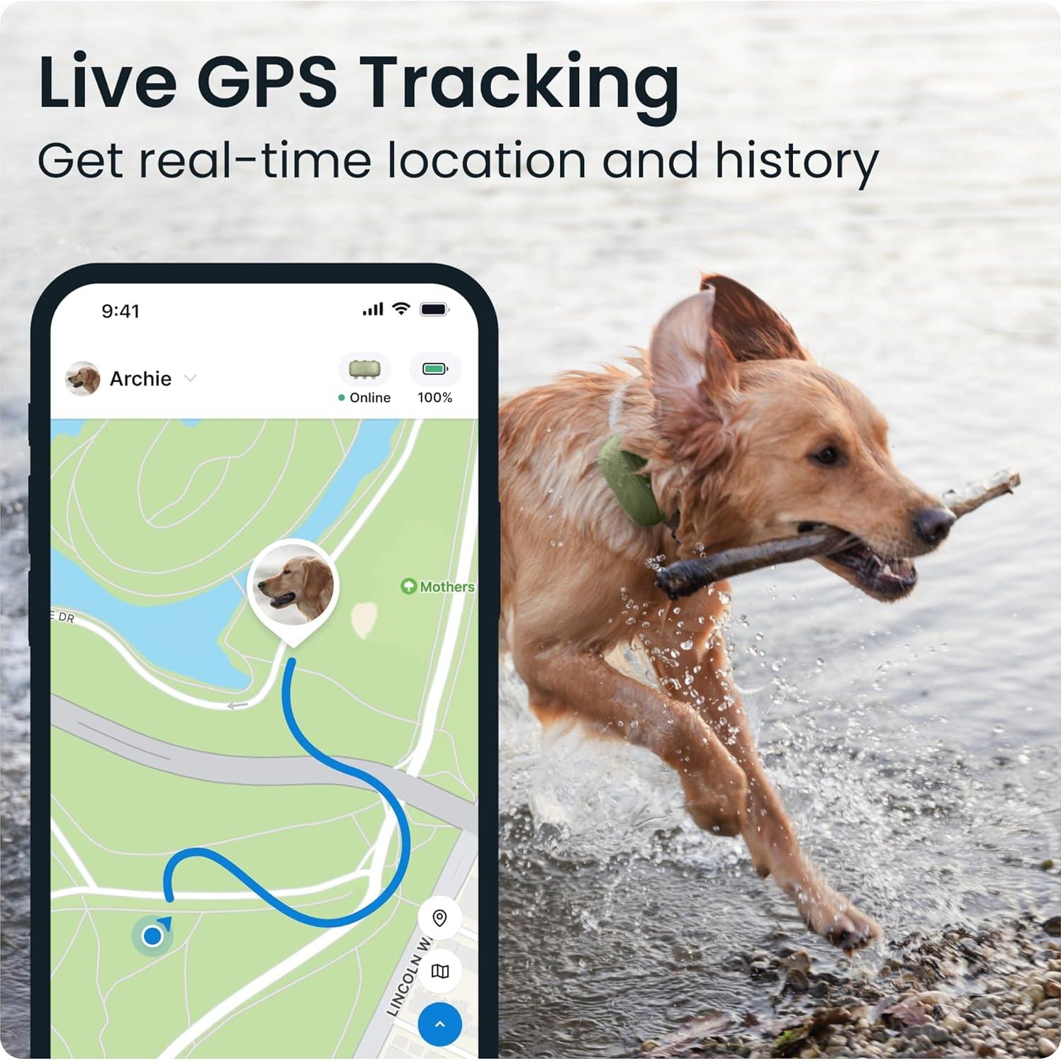 Rastreador GPS Tractive XL para Perros +22,68 kg Verde