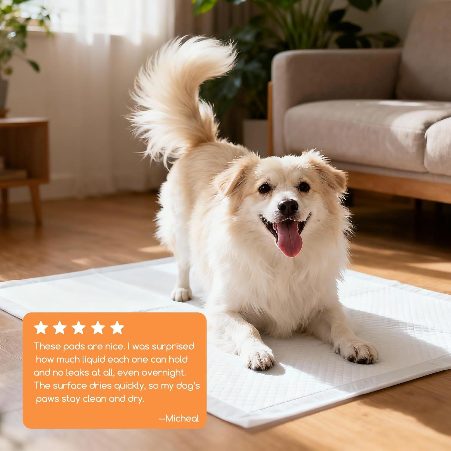 Almohadillas para Cachorros Meowant 20 Paquetes 60x60 cm Absorbentes