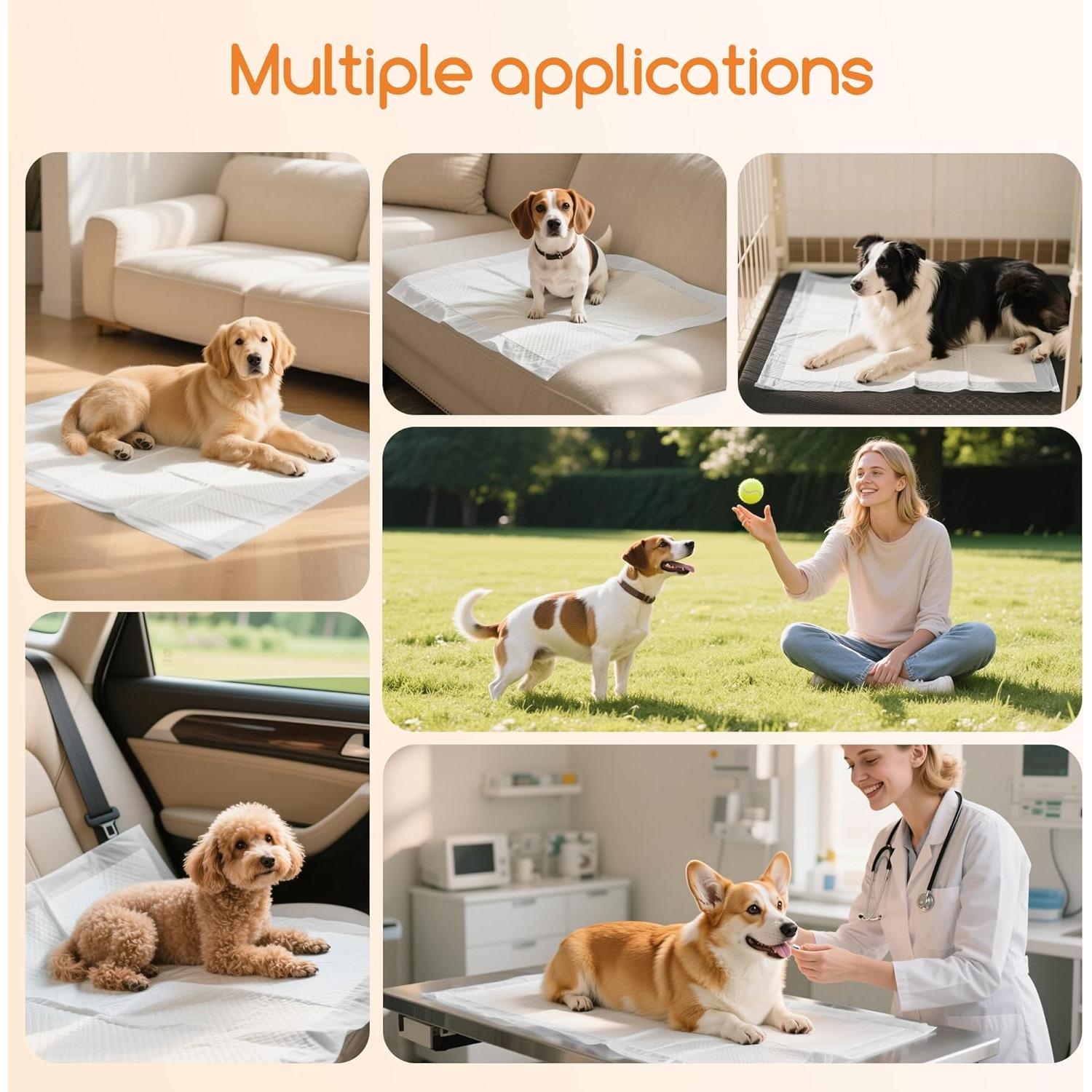 Almohadillas para Cachorros Meowant 20 Paquetes 60x60 cm Absorbentes