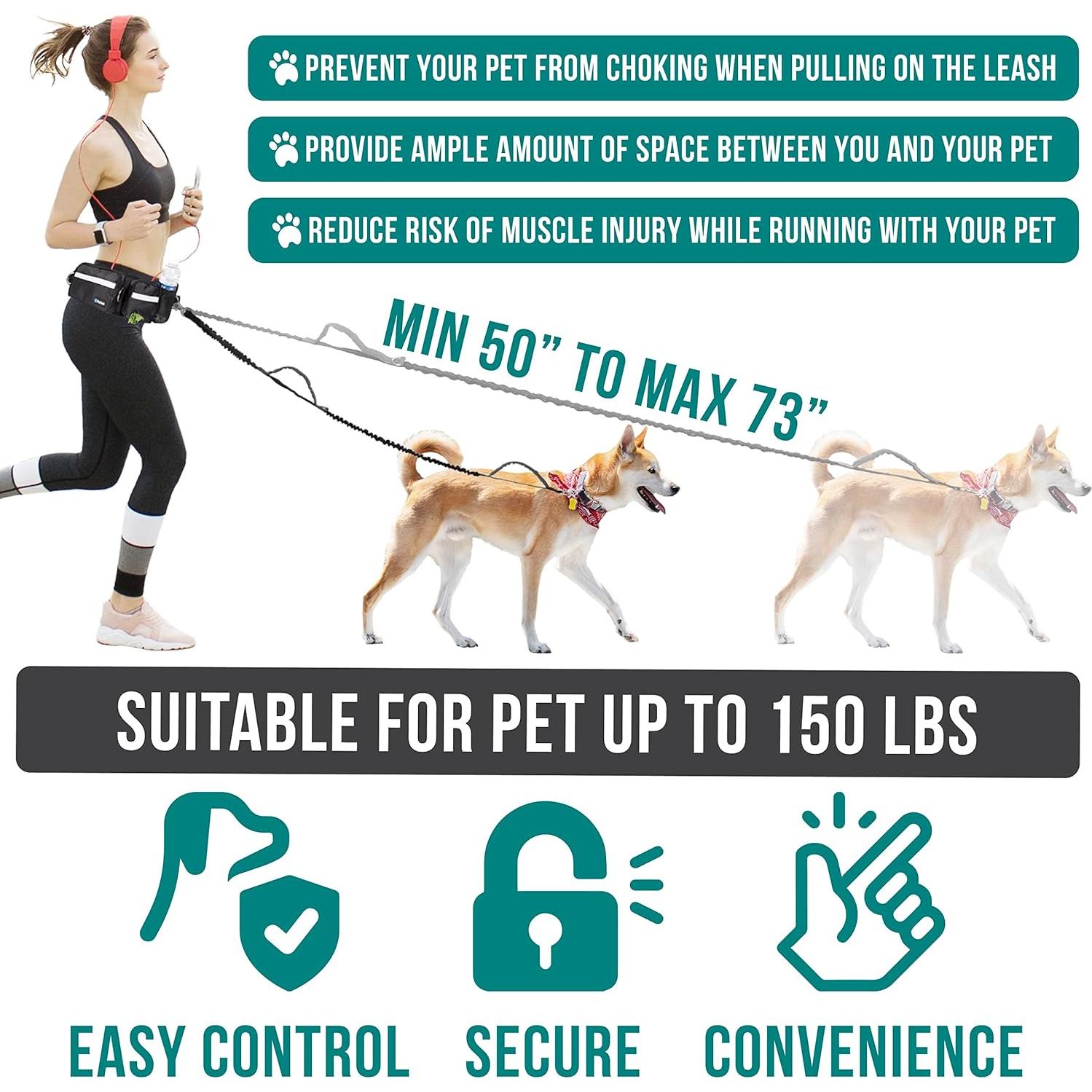 Correa para Perros Manos Libres PetAmi, Bungee Reflectante