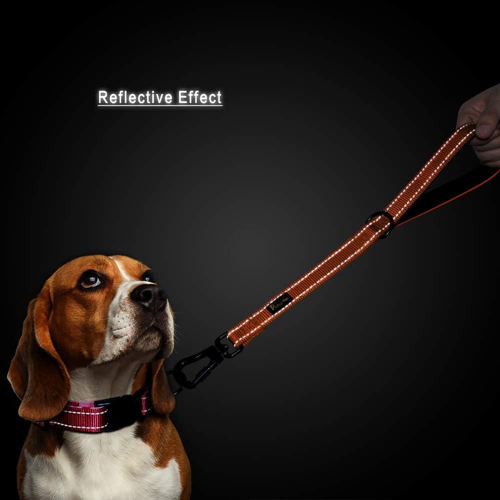 Correa Corta Plutus Pet 45.72 cm Mango Acolchado Naranja